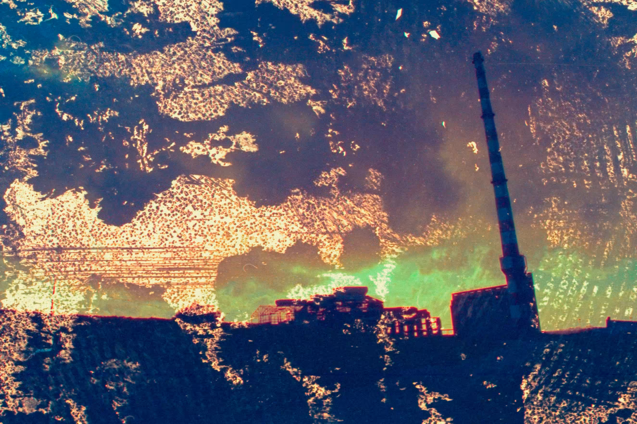 High n.8