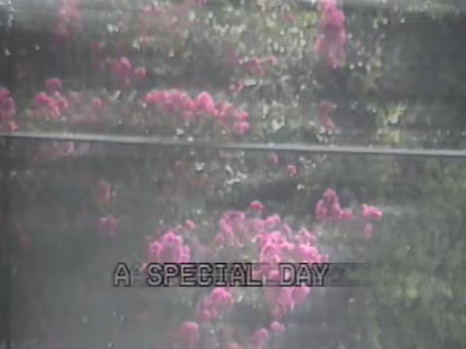 A Special Day - Neighborhood Watch