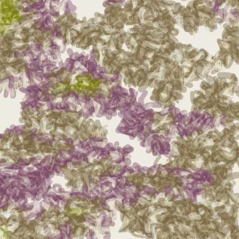 Petri 1500 #595