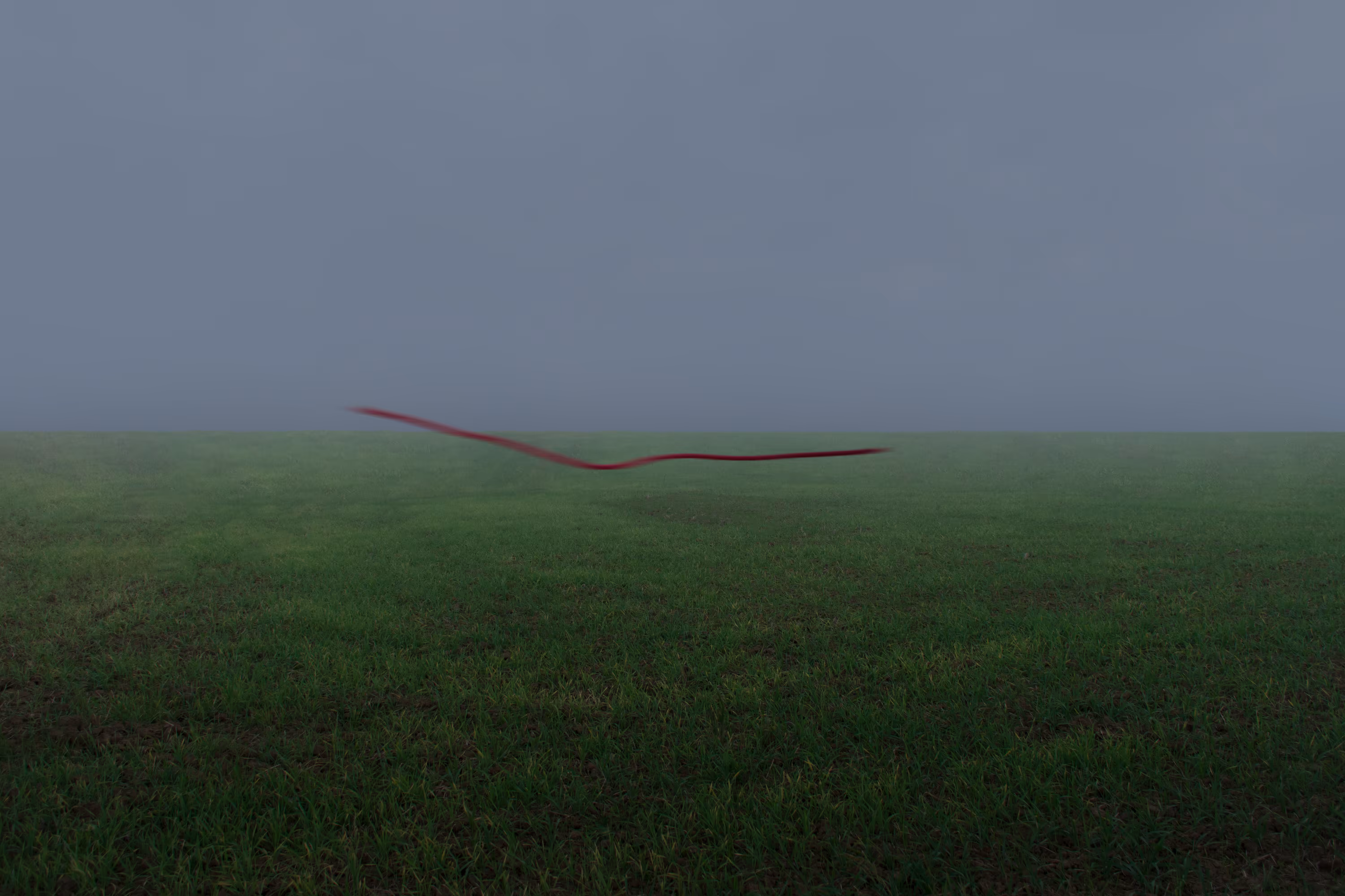 Photography: A Strand Beyond Time