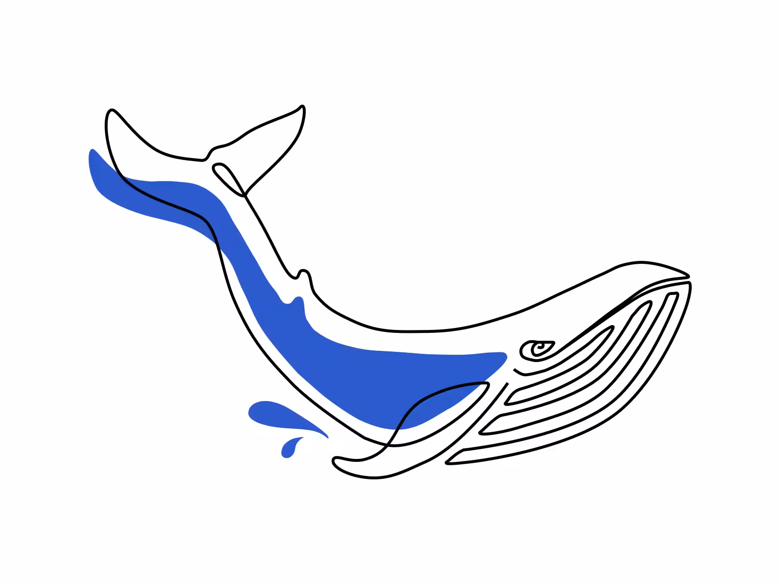 Whale