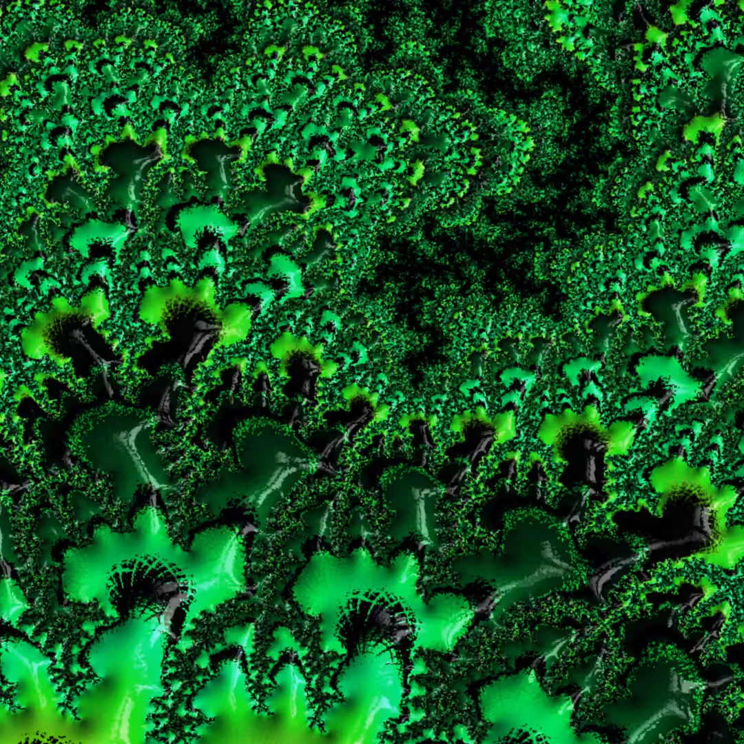 the Fluid
