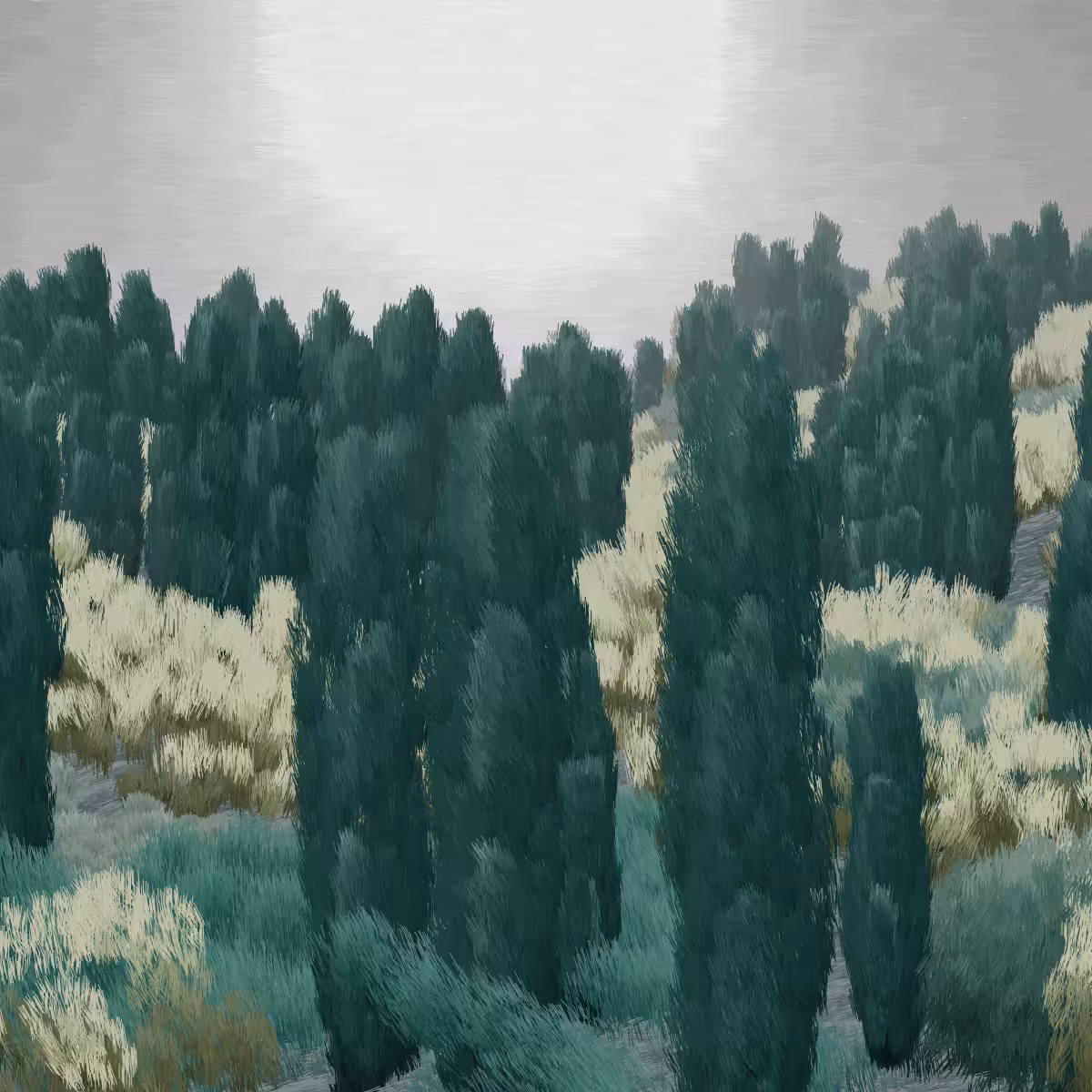 Provence #203