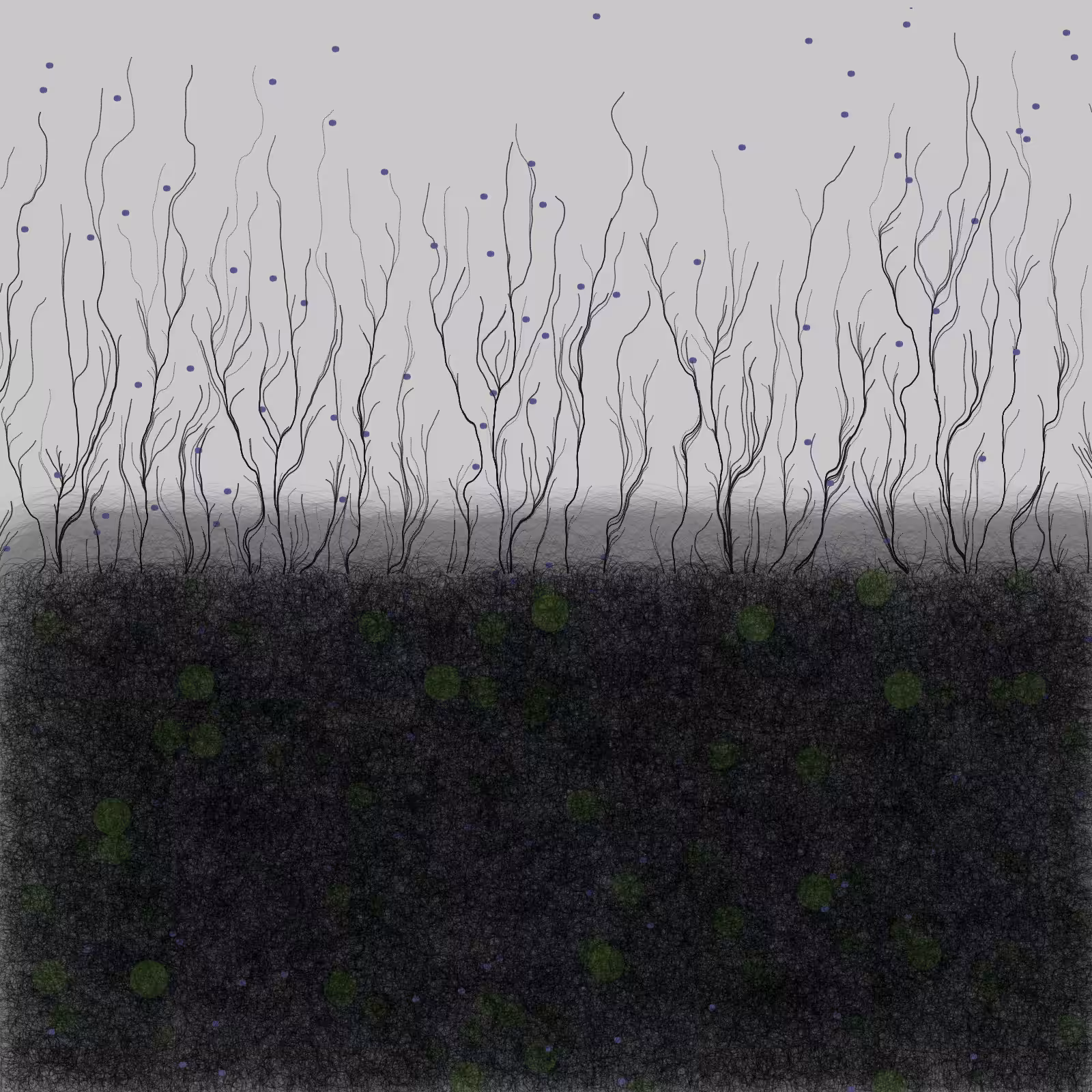branches #16