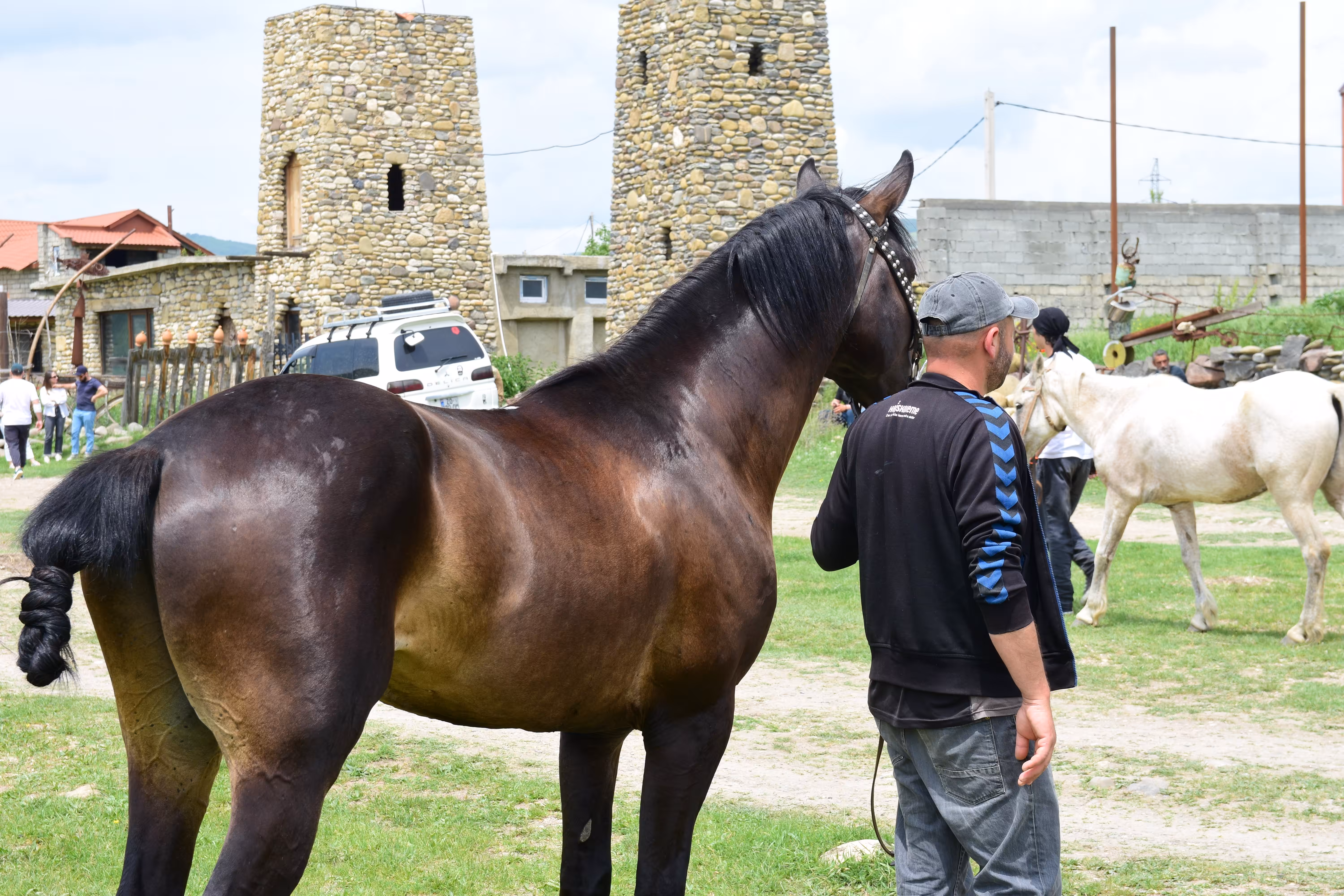 Horse Race 5