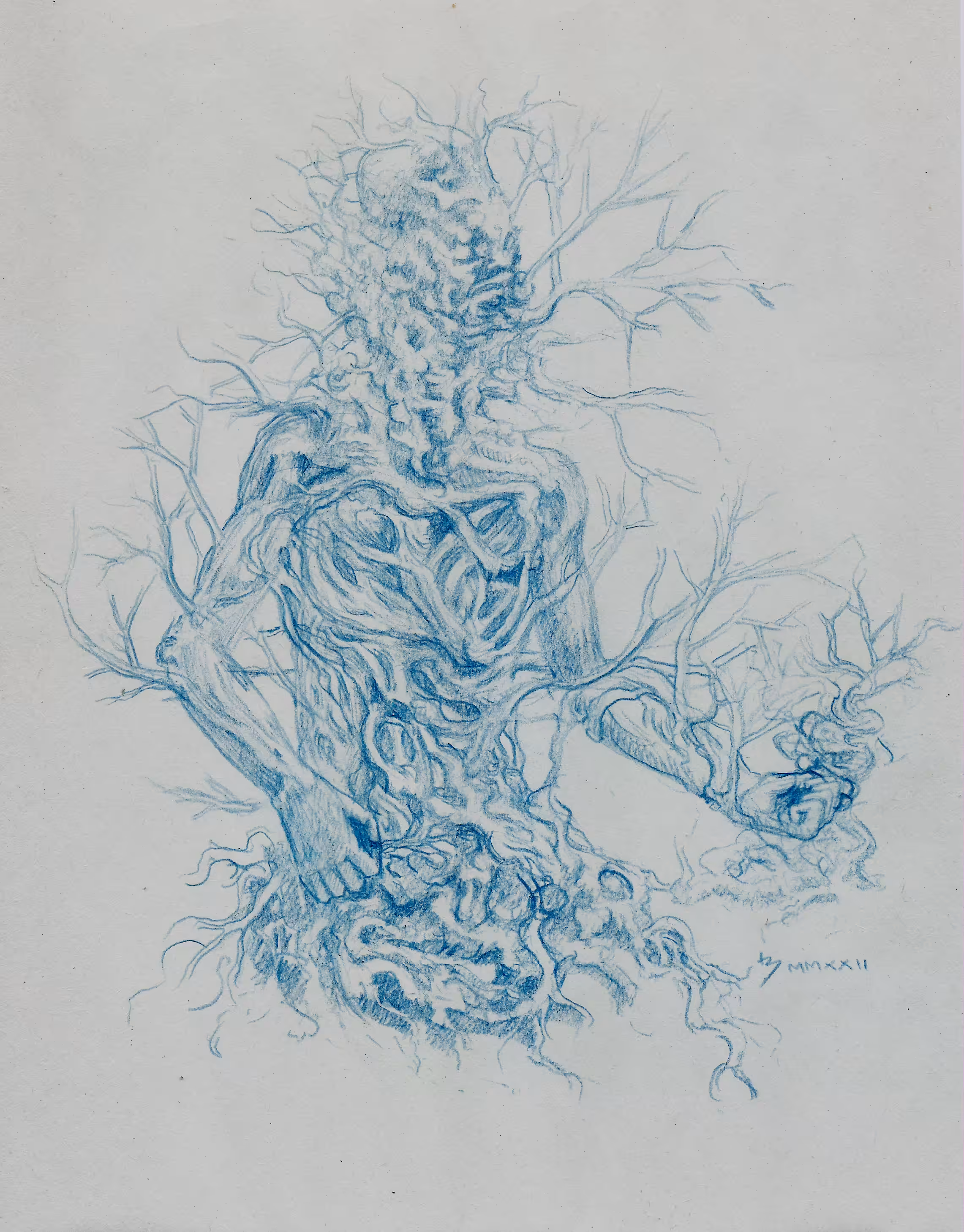 DendrophiliaAzurescens_VIII
