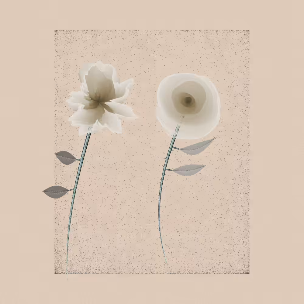 Magnolia #64