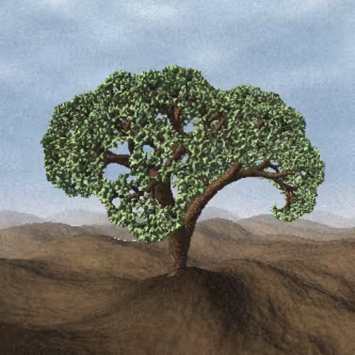 Lonely Tree #15