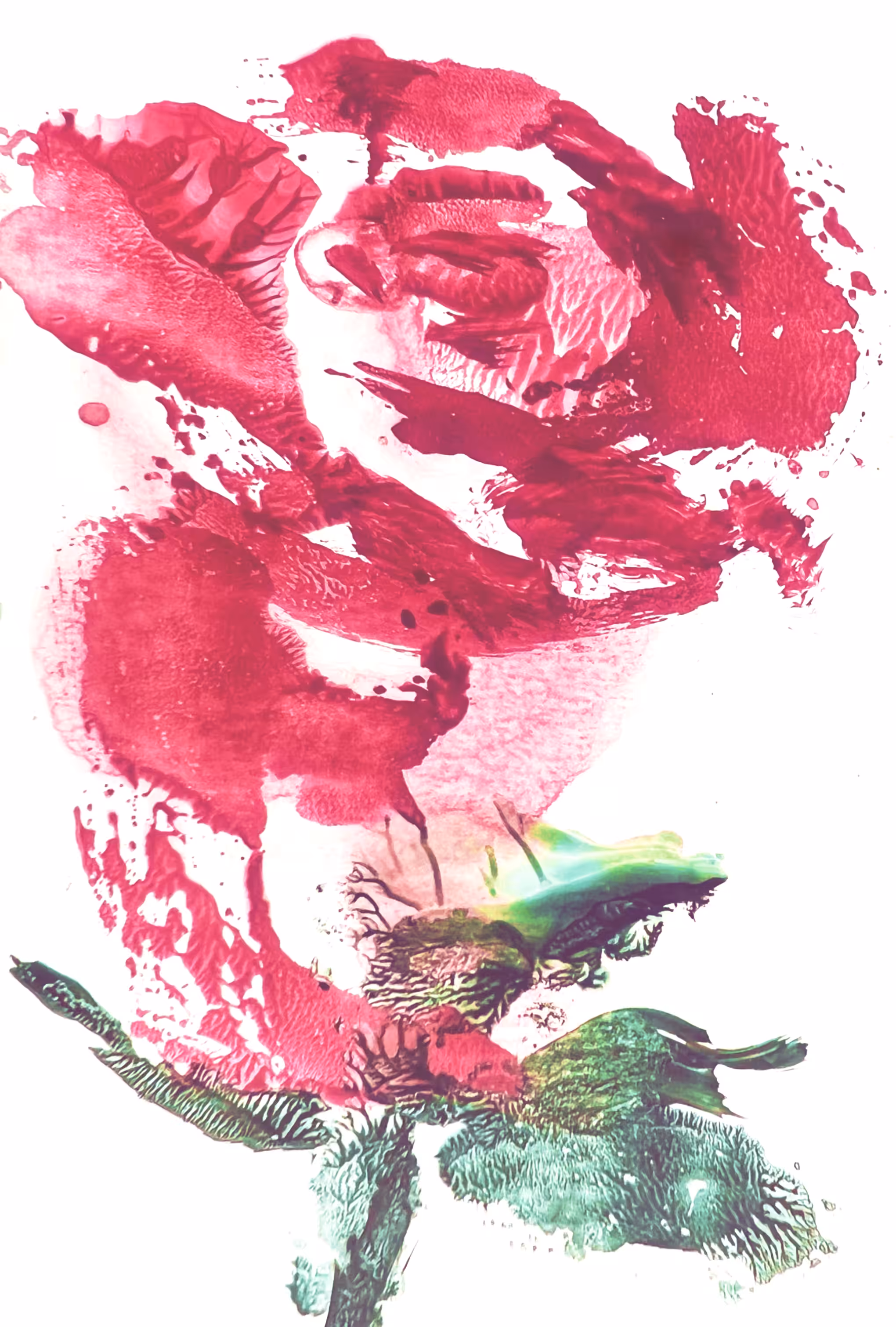 the Rose