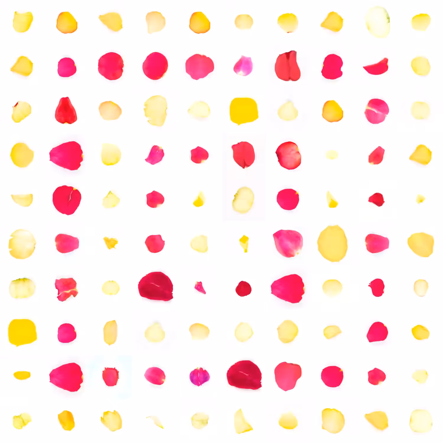 Infinite Petals 10x10#3958