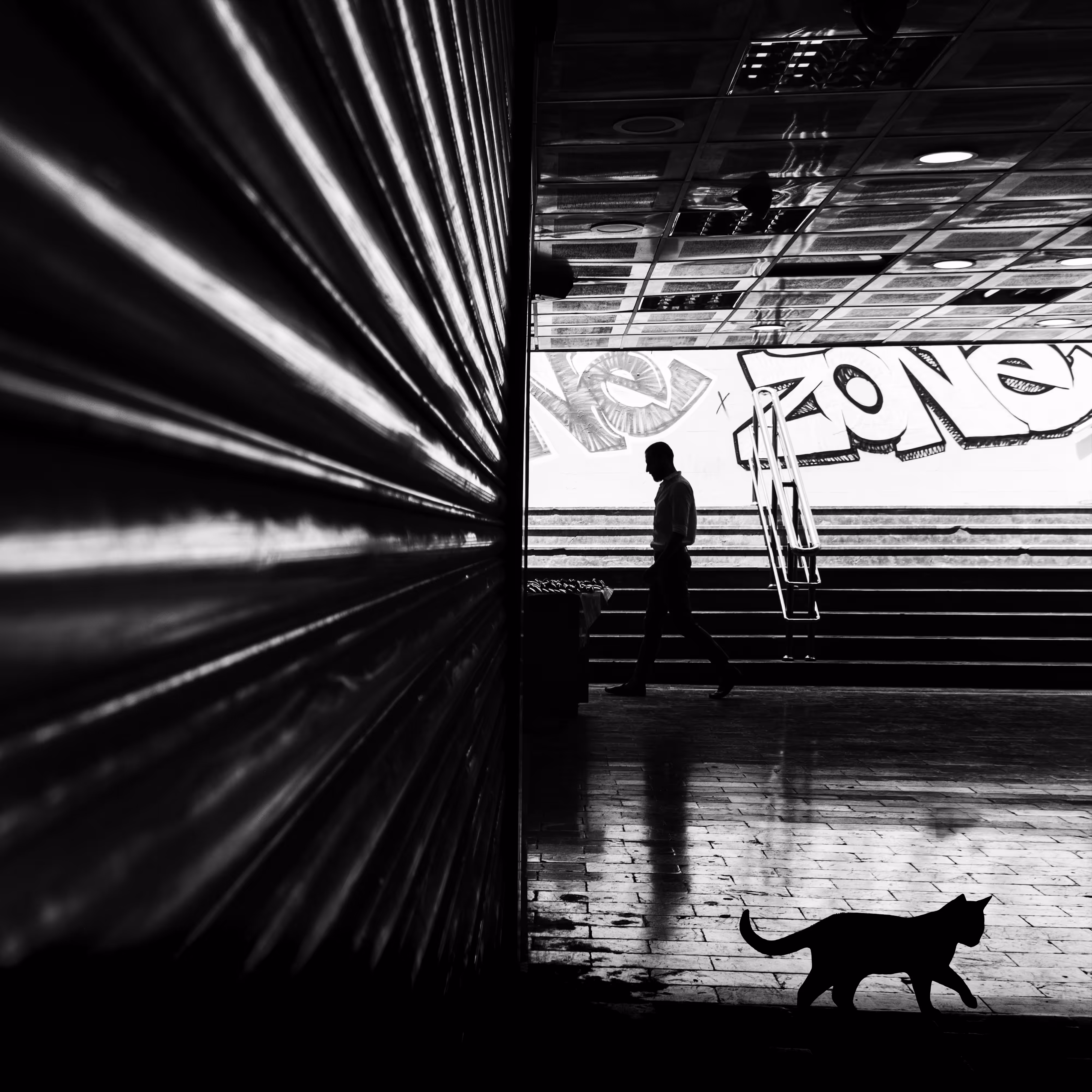 Black Cat 