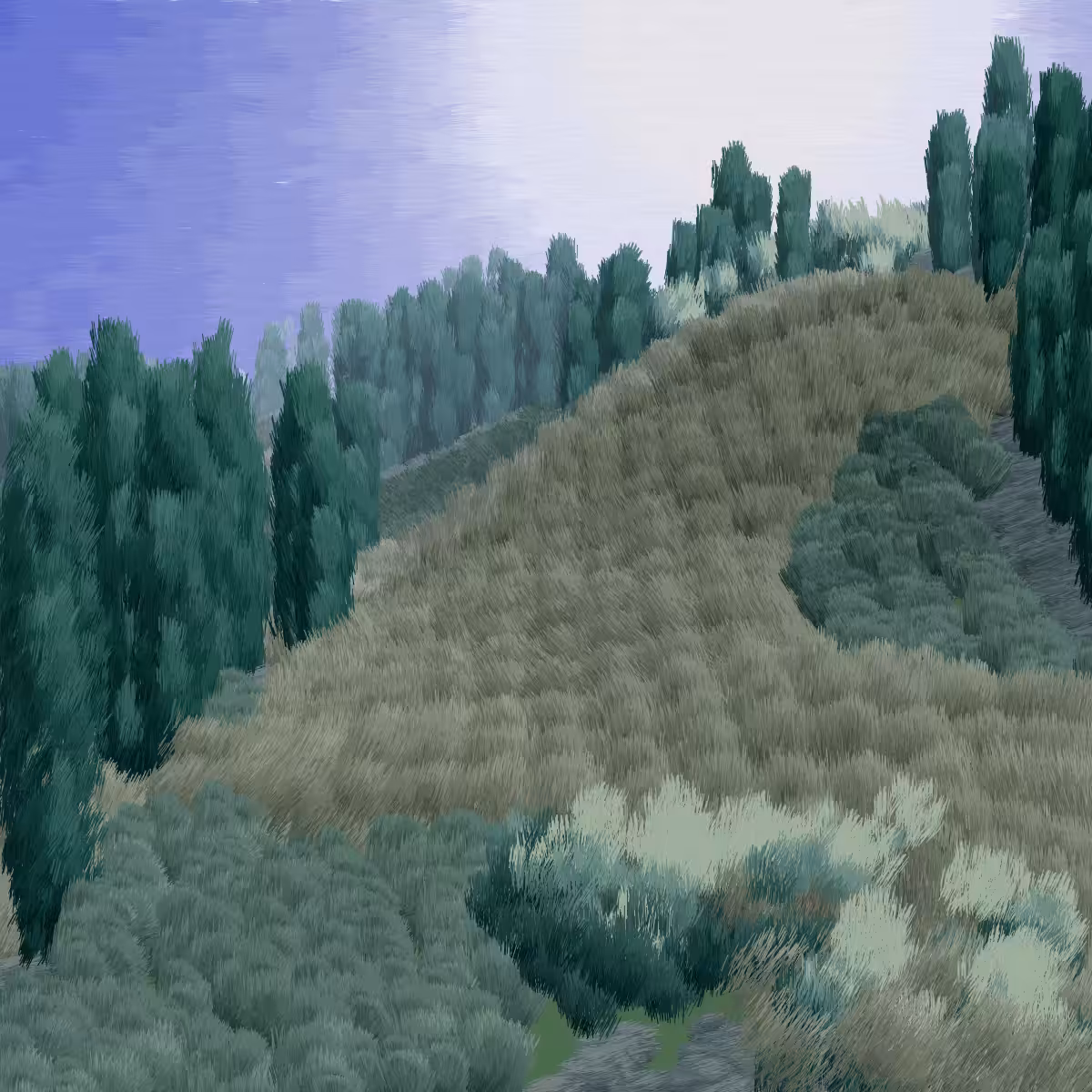 Provence #144