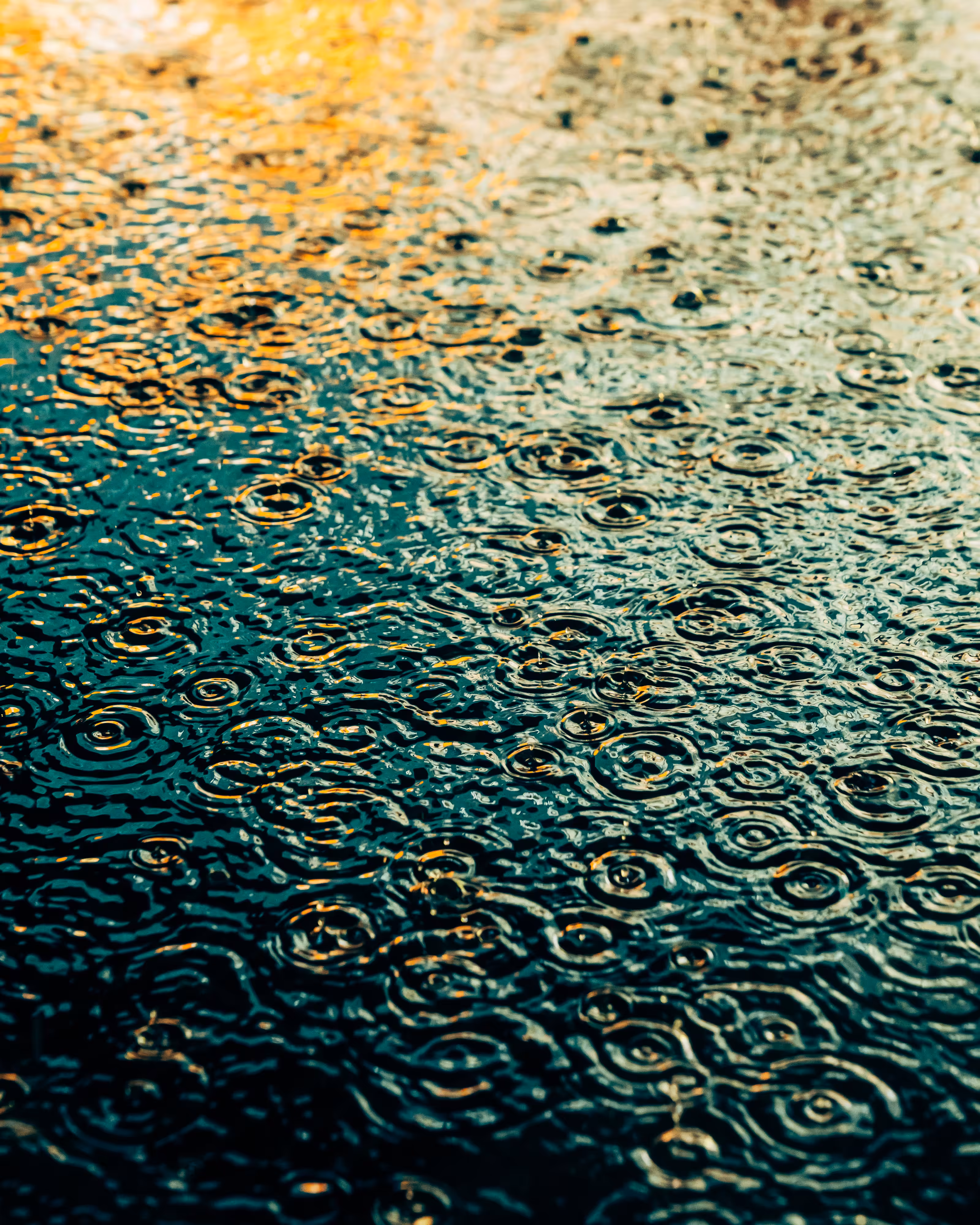 DRIP DROP: DRIP #886
