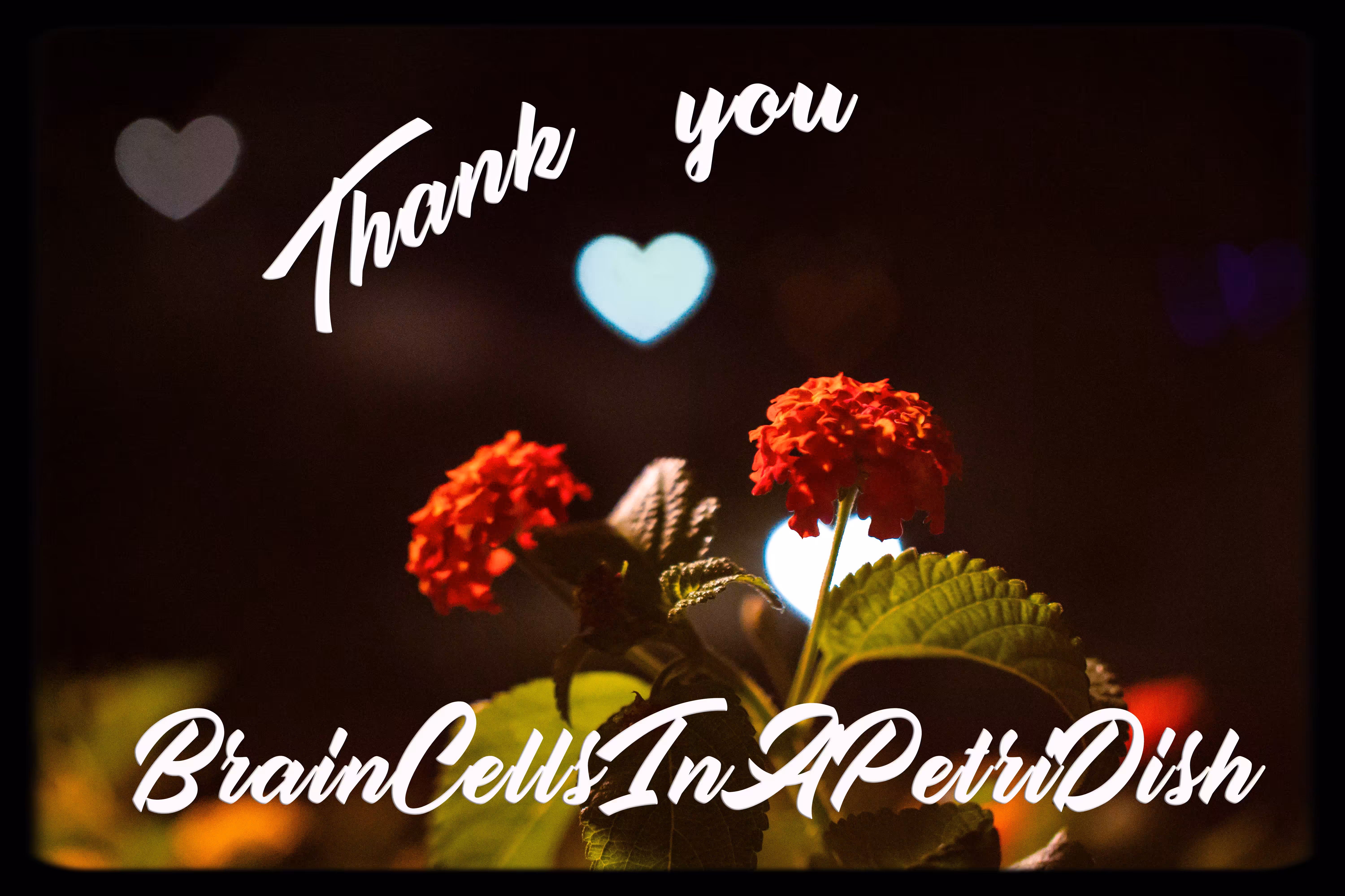 Thank You BrainCellsInAPetriDish