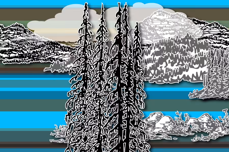 Wild Paper Road #6