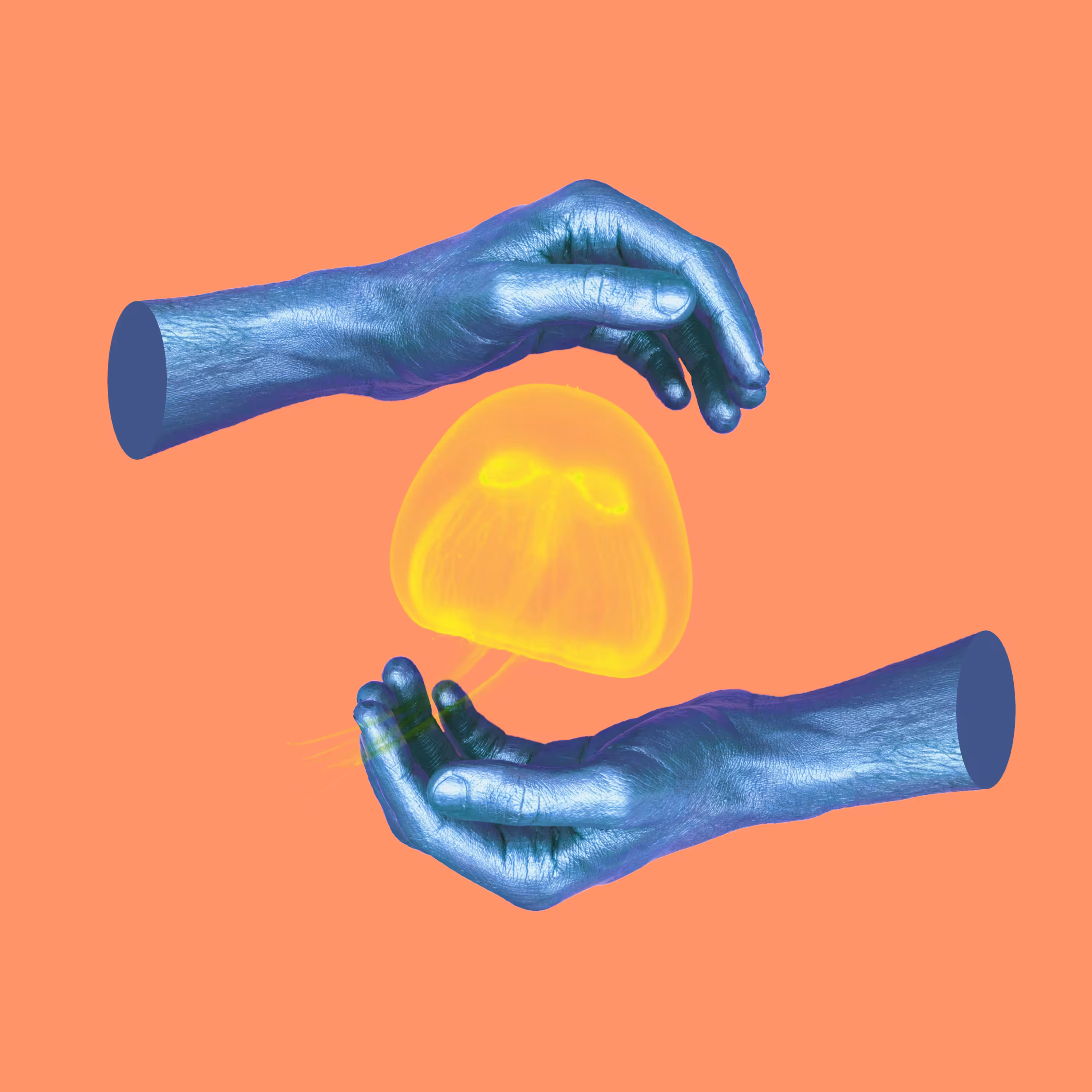 Jellyfish