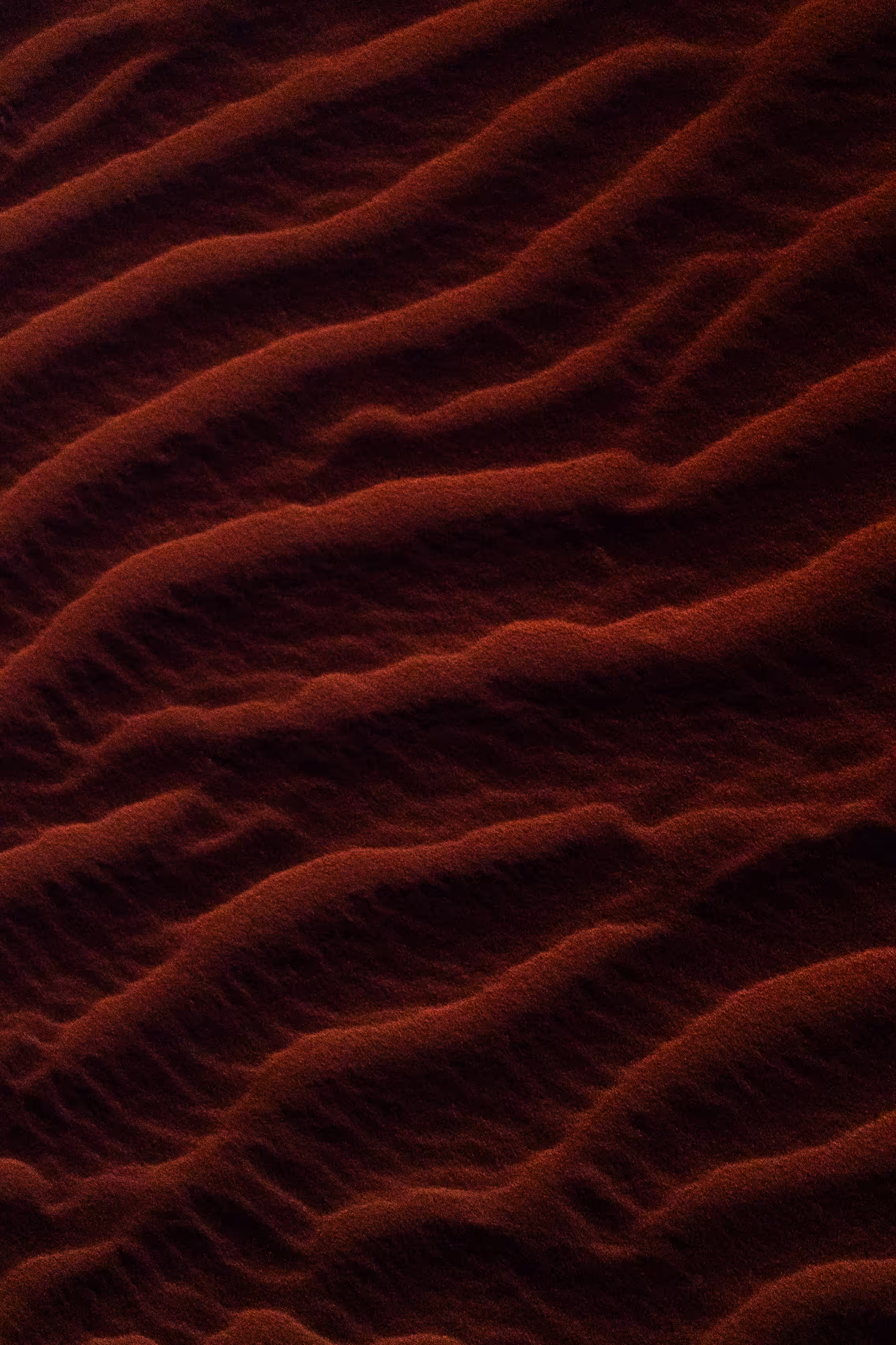 Grain of Light #003