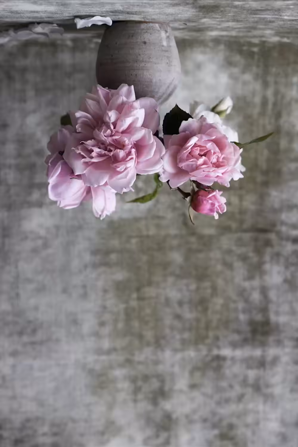 Rainbow Cascade 02 - Pink Vase Inversion
