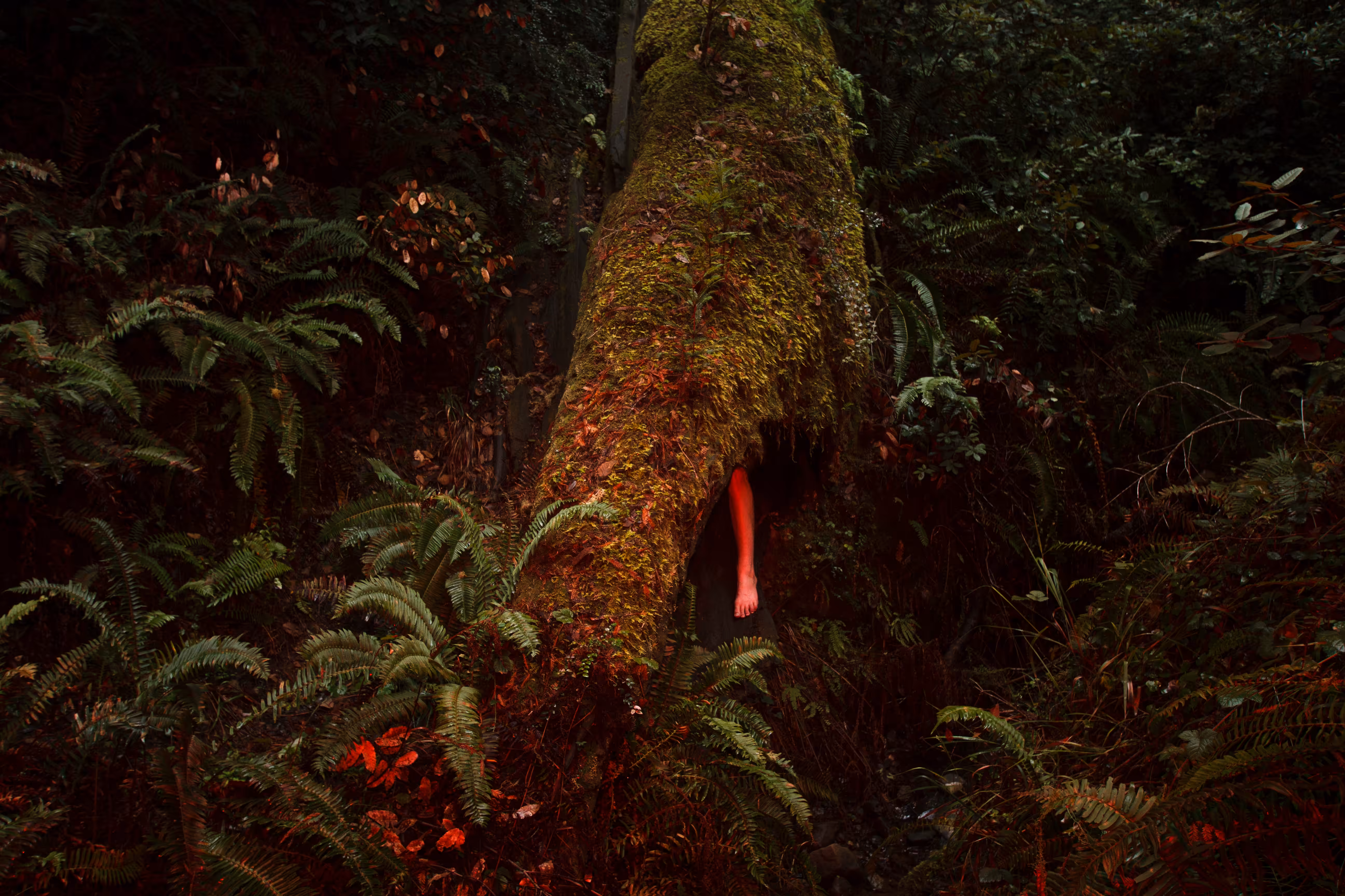 What Lurks Amongst the Foliage