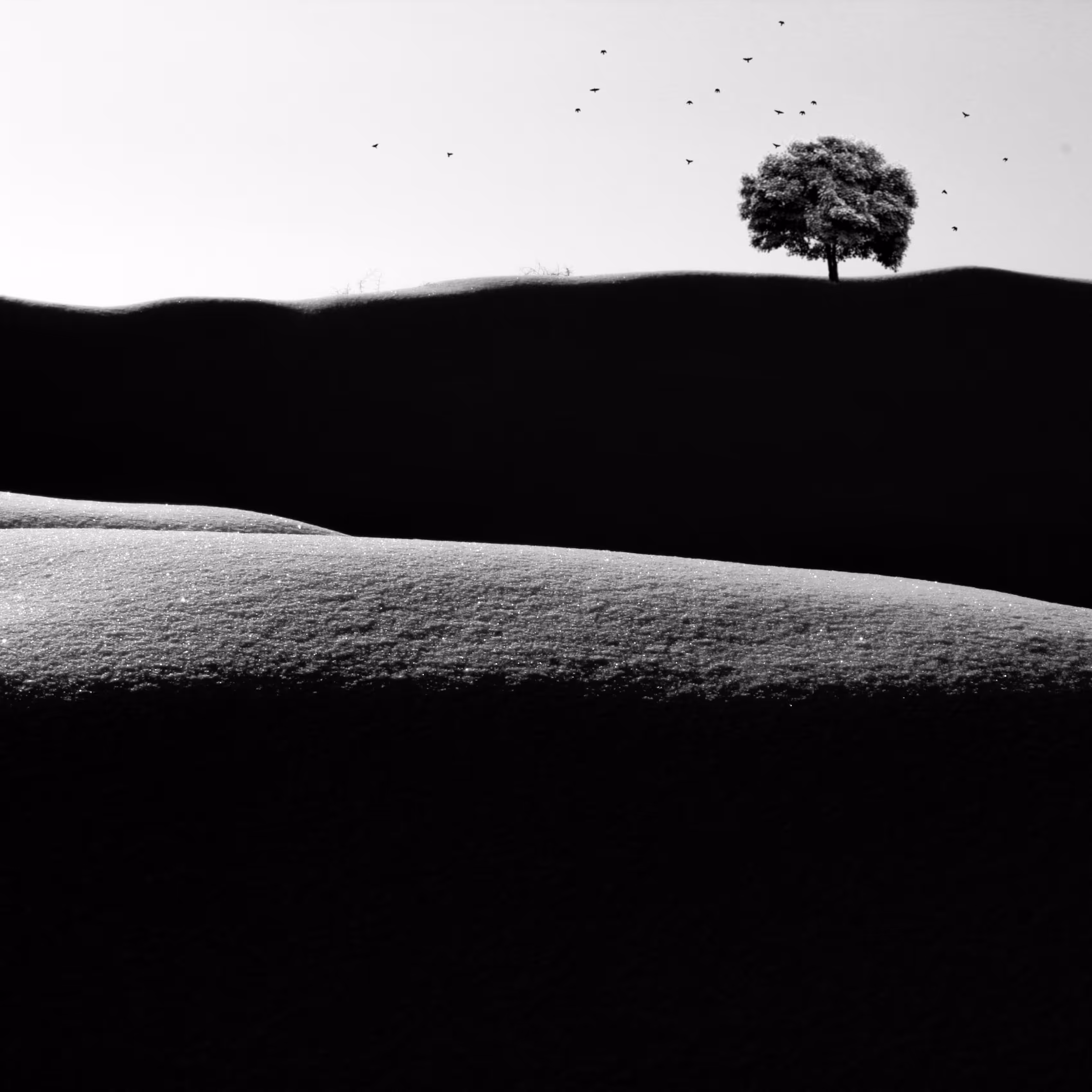 Embrace My Hills