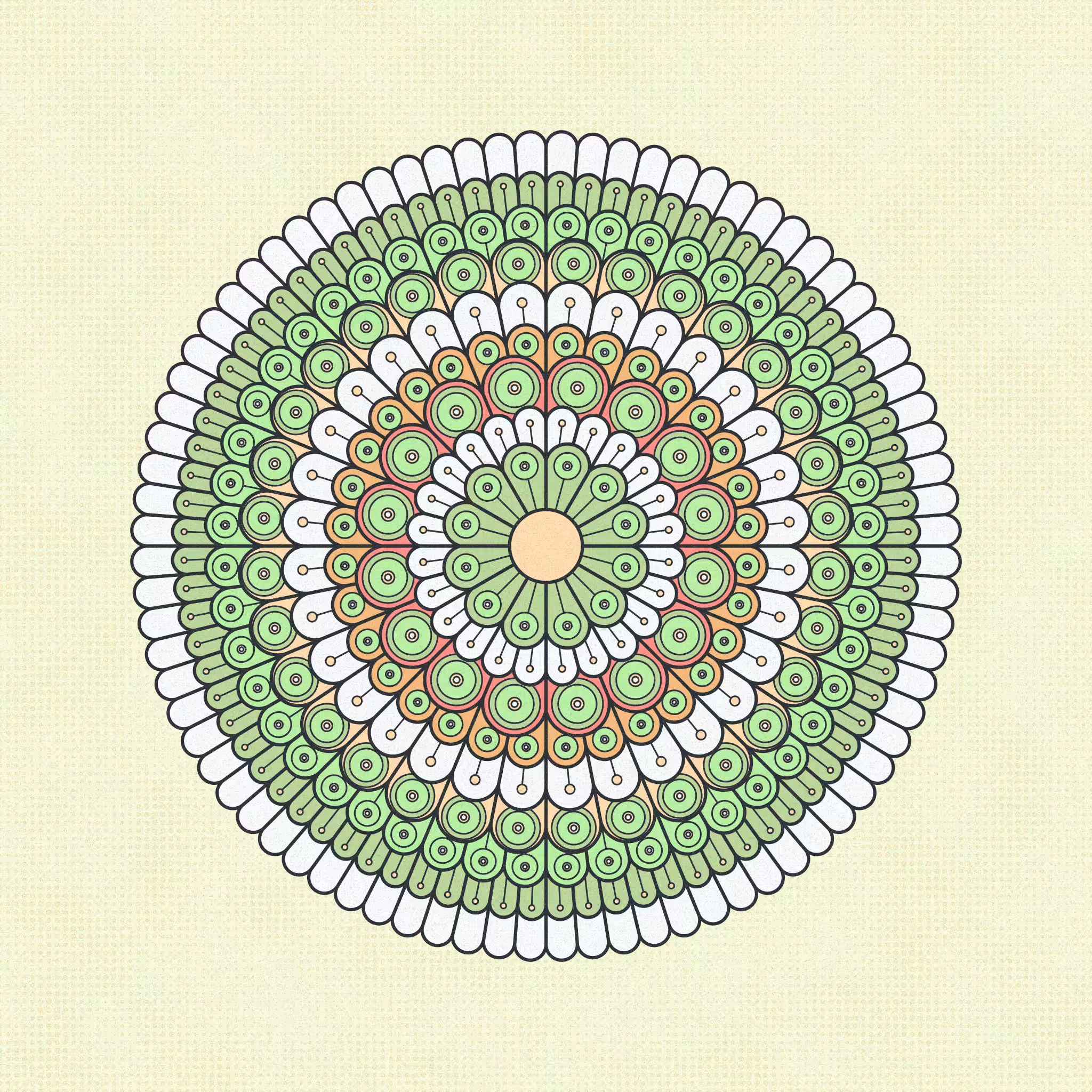 metamorph. #5