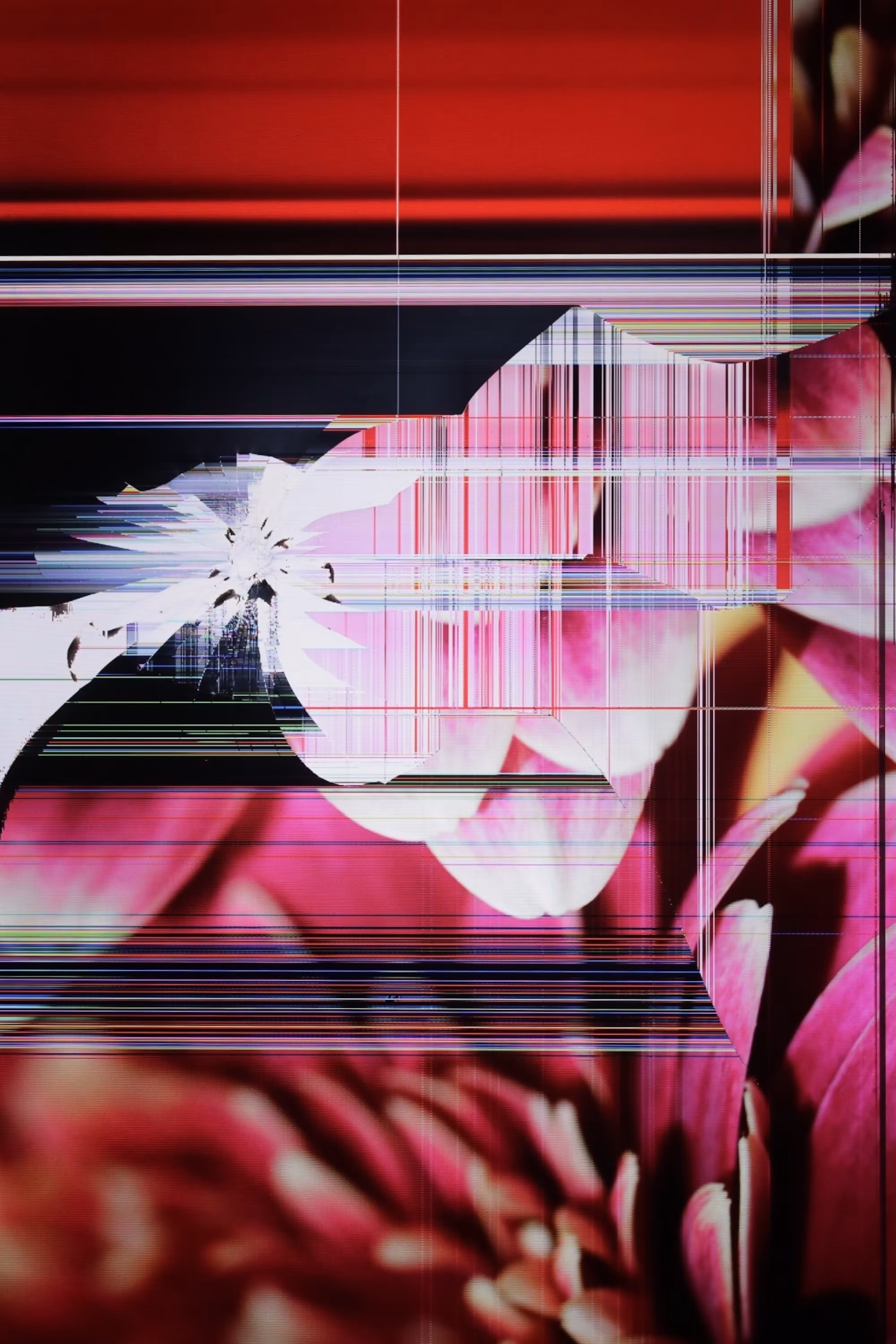 LOWREZ199