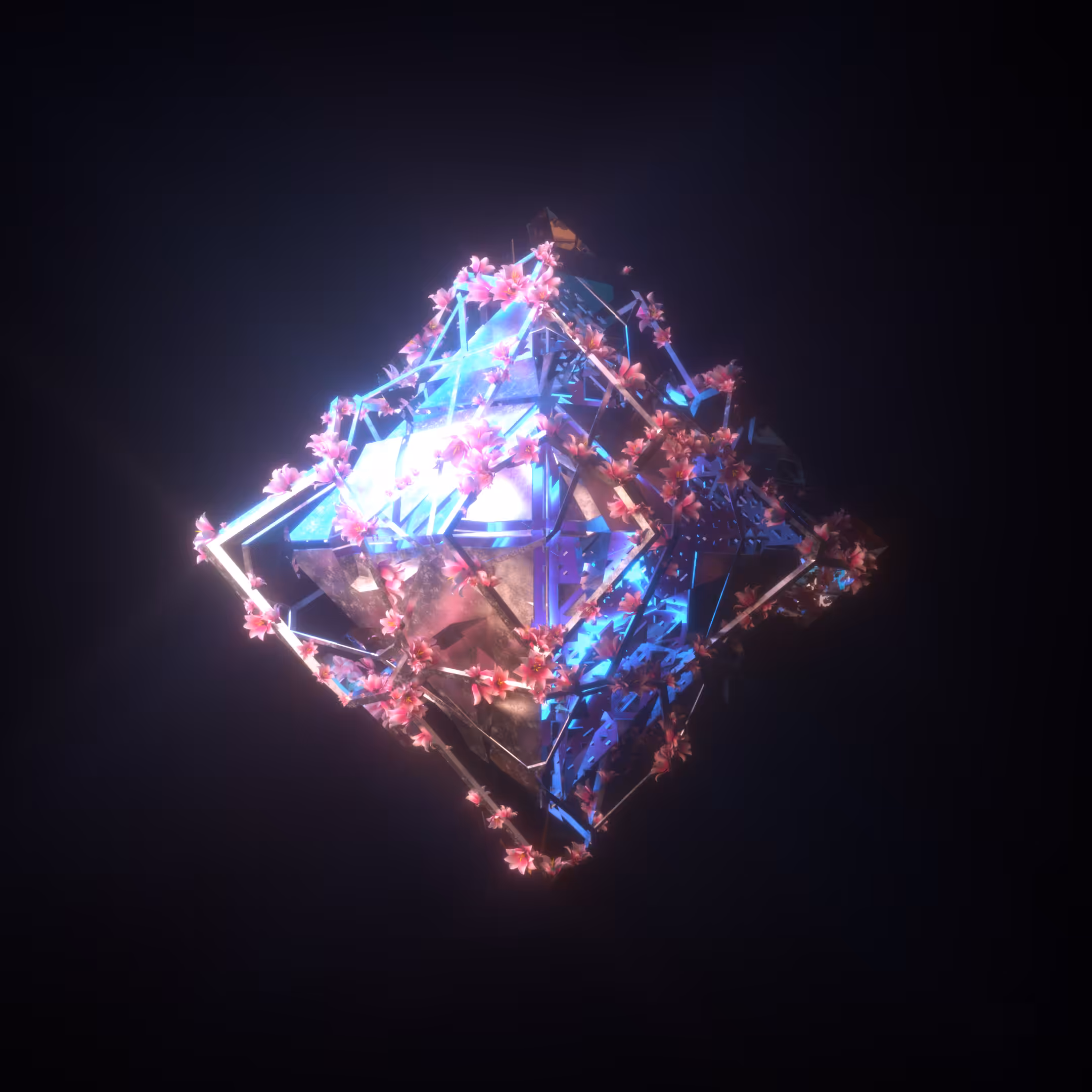 Bloom