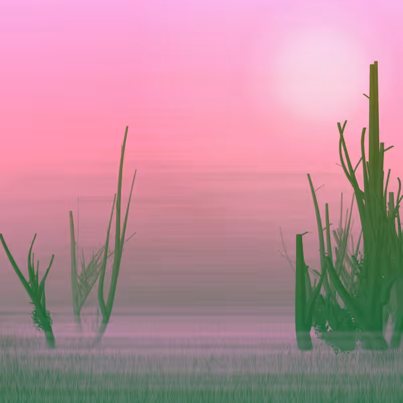 Morning Frost #29
