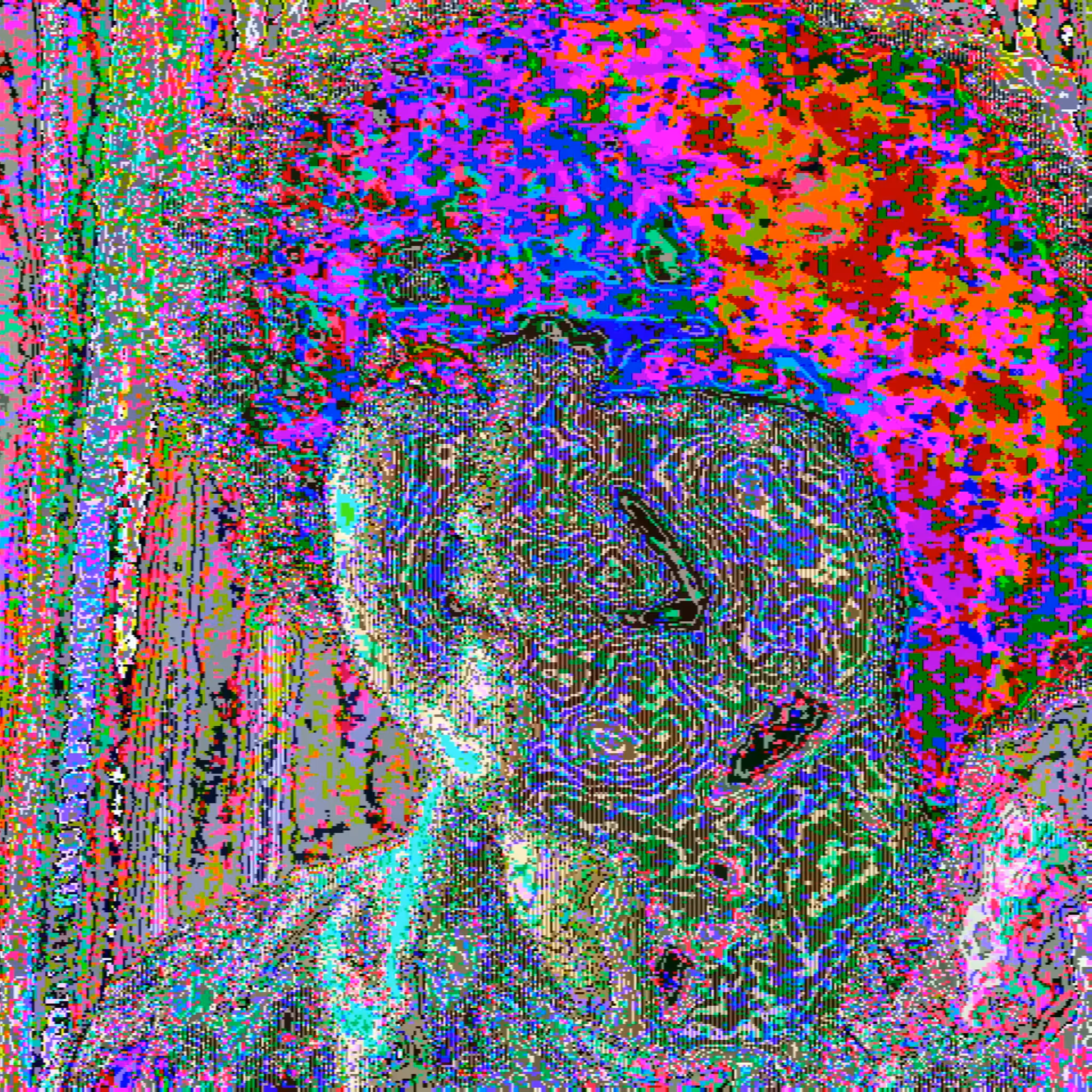 FEWOCiOUS