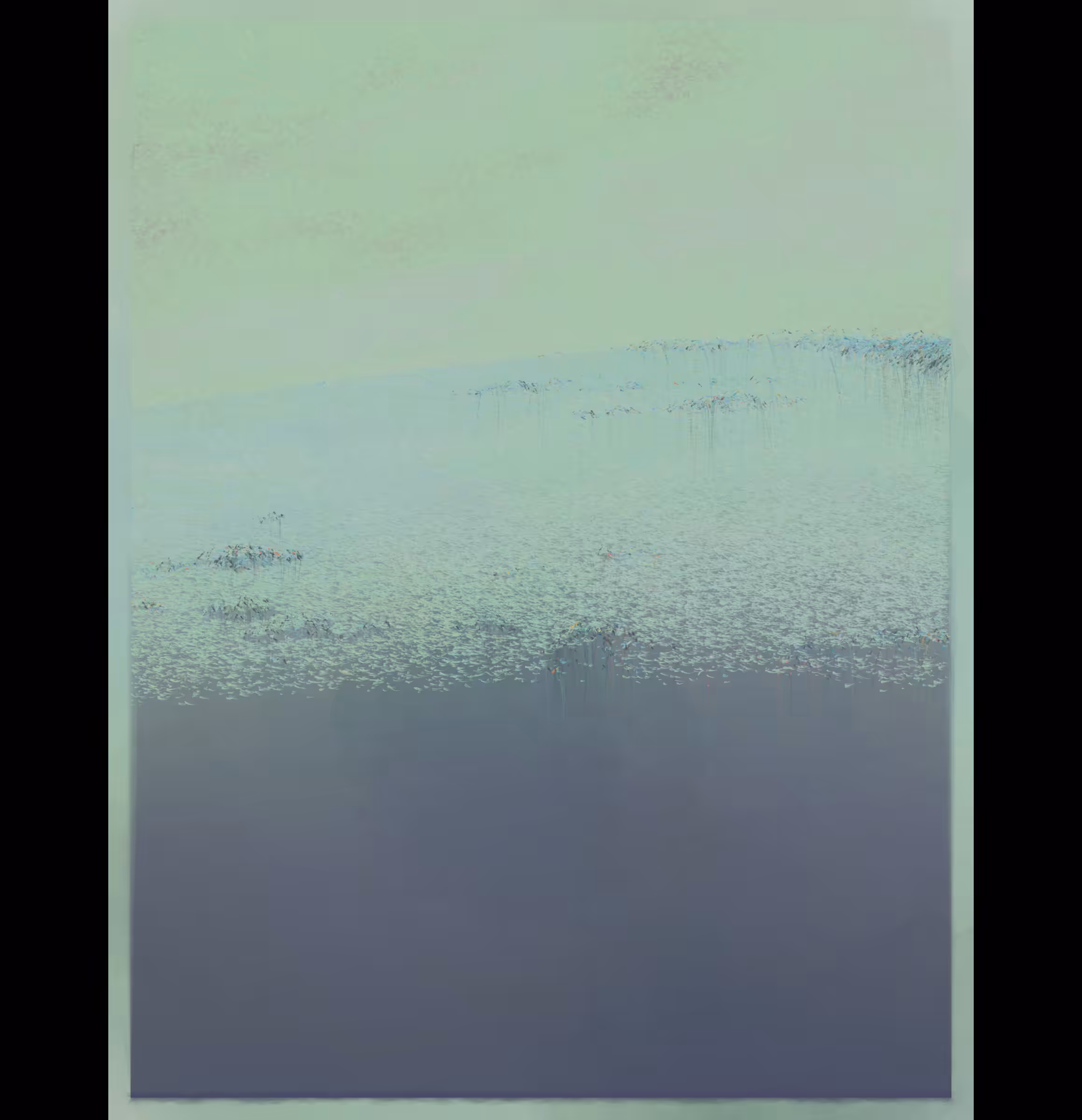 Island Mist #62