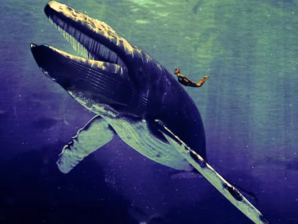 Whale whispers