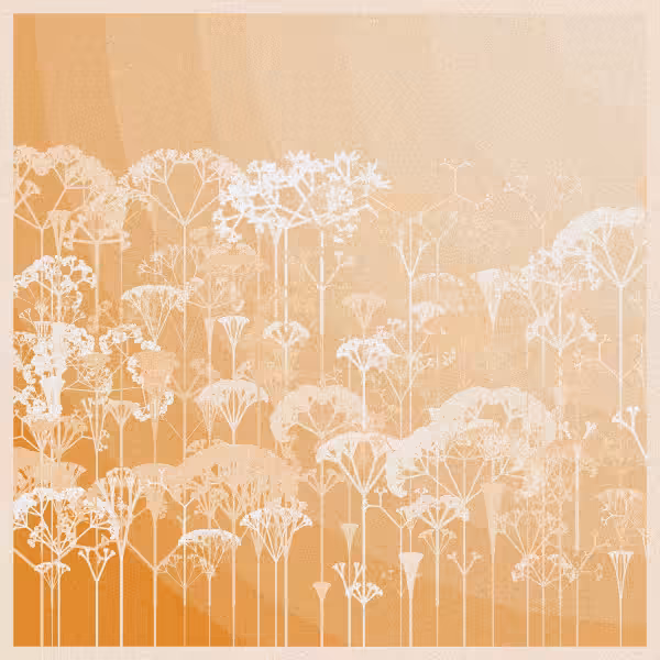 SERENITY #4