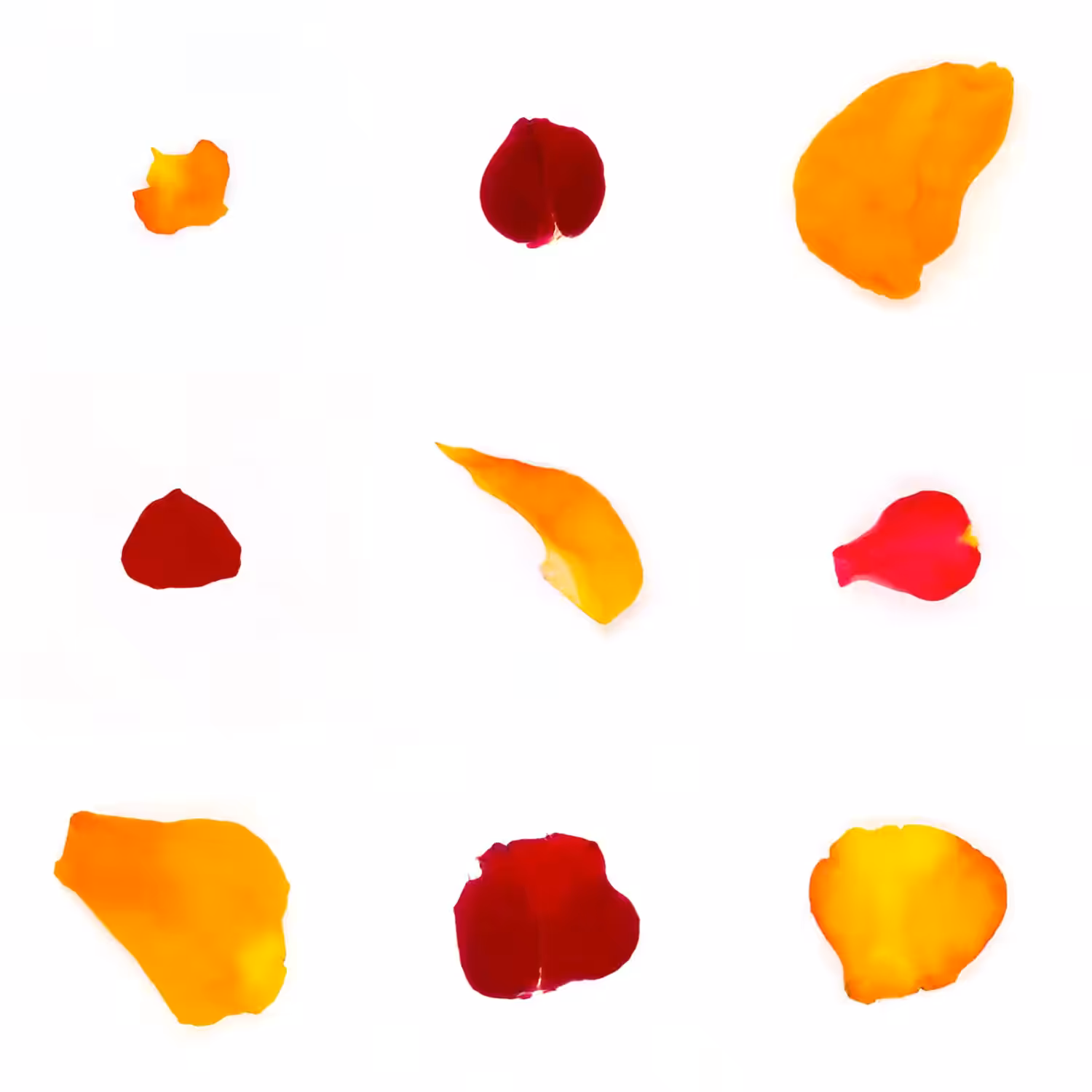 Infinite Petals 3x3#3104