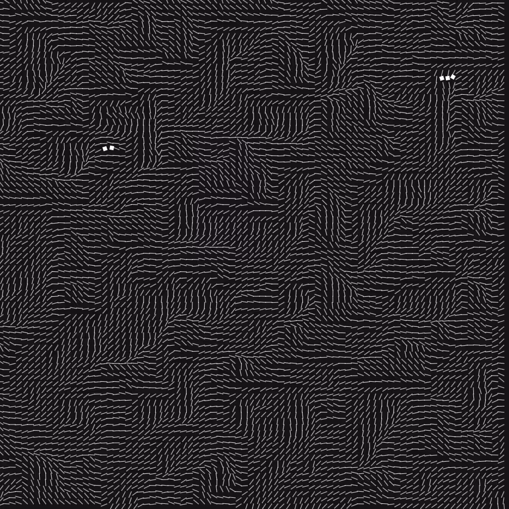 Geometric Fluidity #911