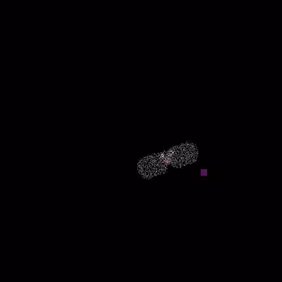 TezFlies  0n-Chain #2