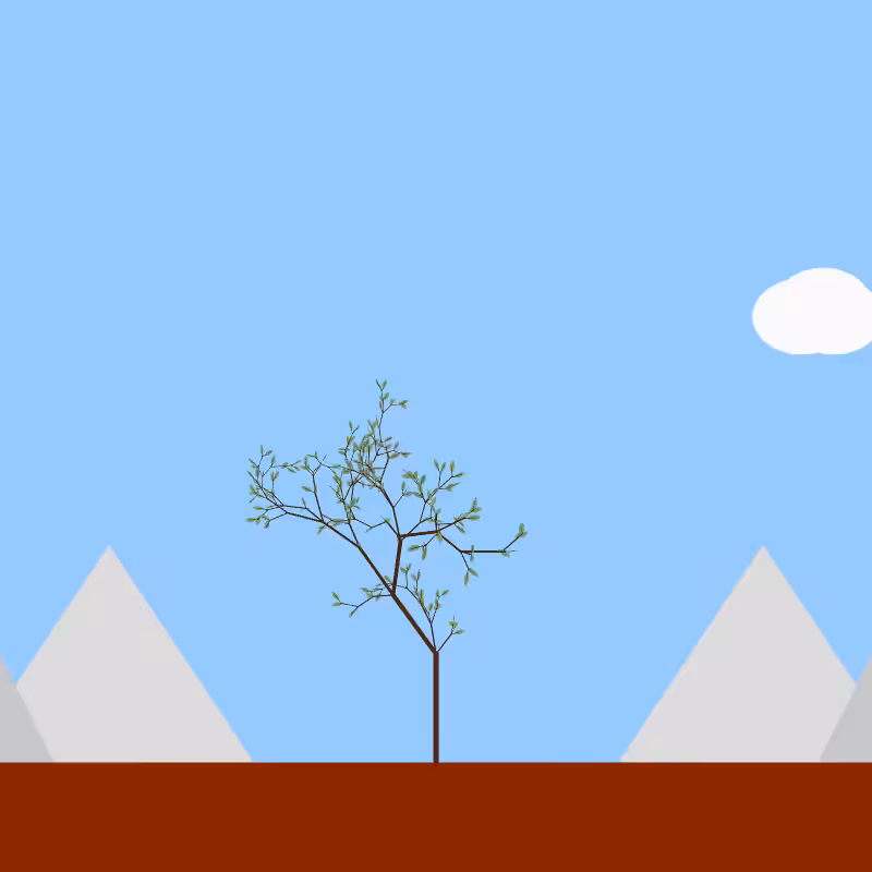 From seedling to tree #40