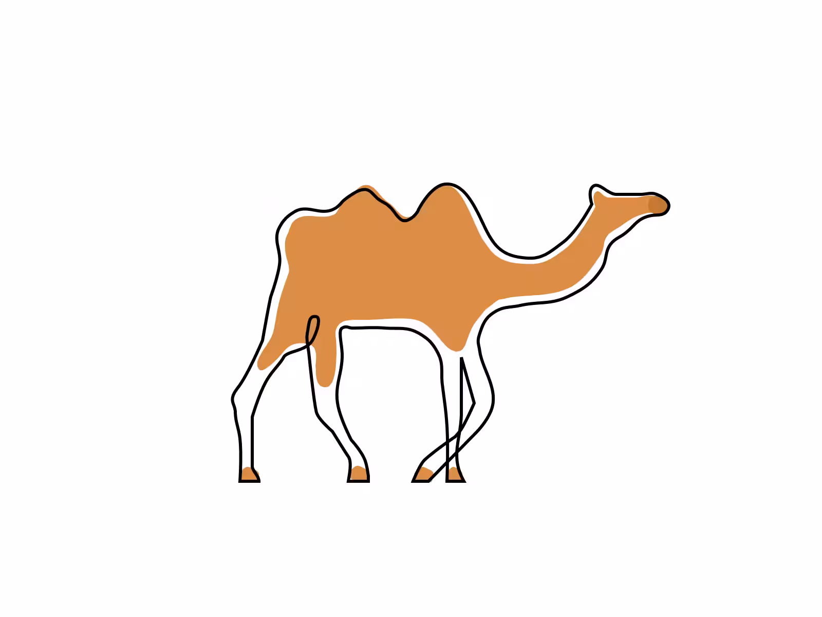 Camel