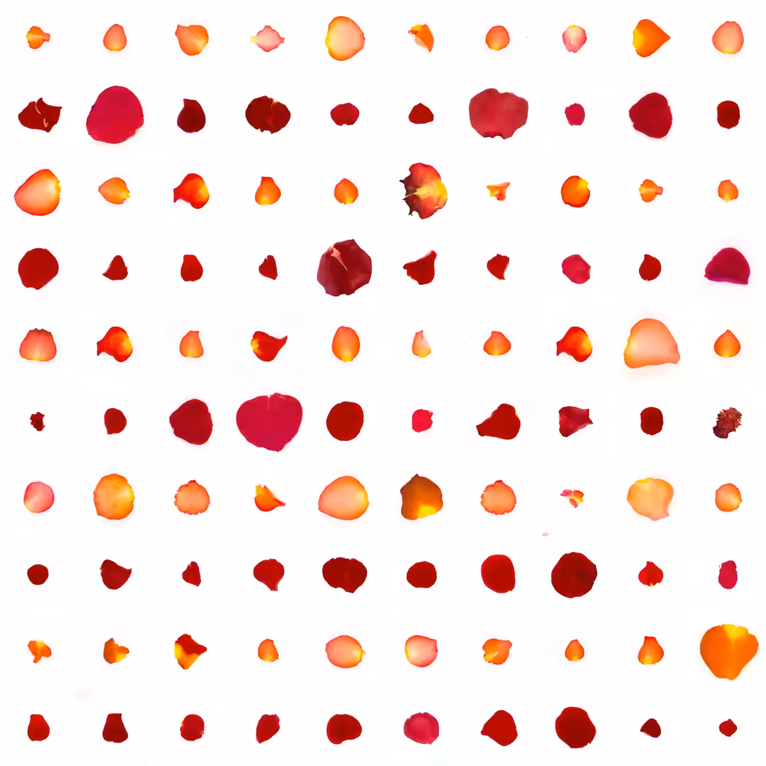 Infinite Petals 10x10#653