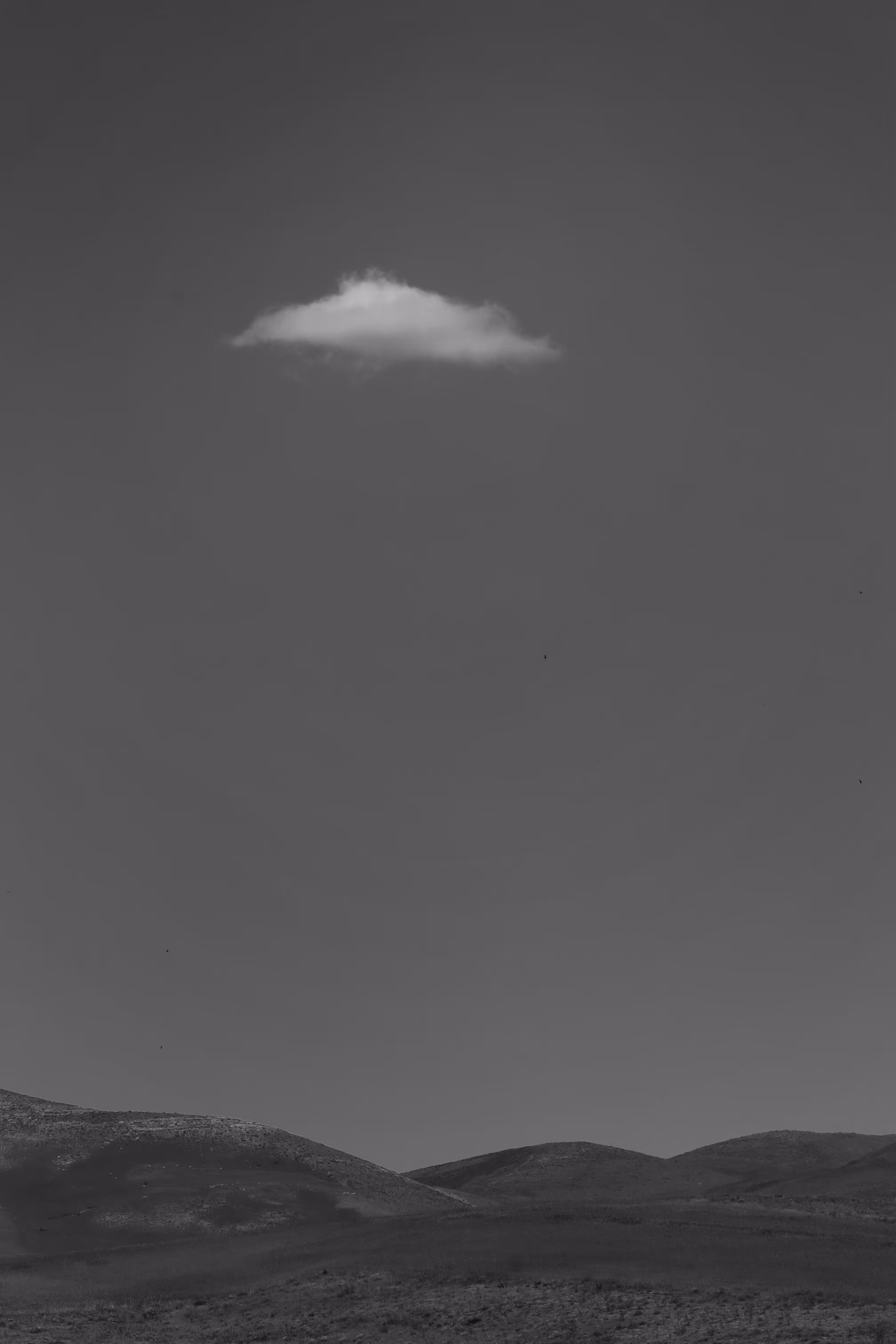 Cloudlet
