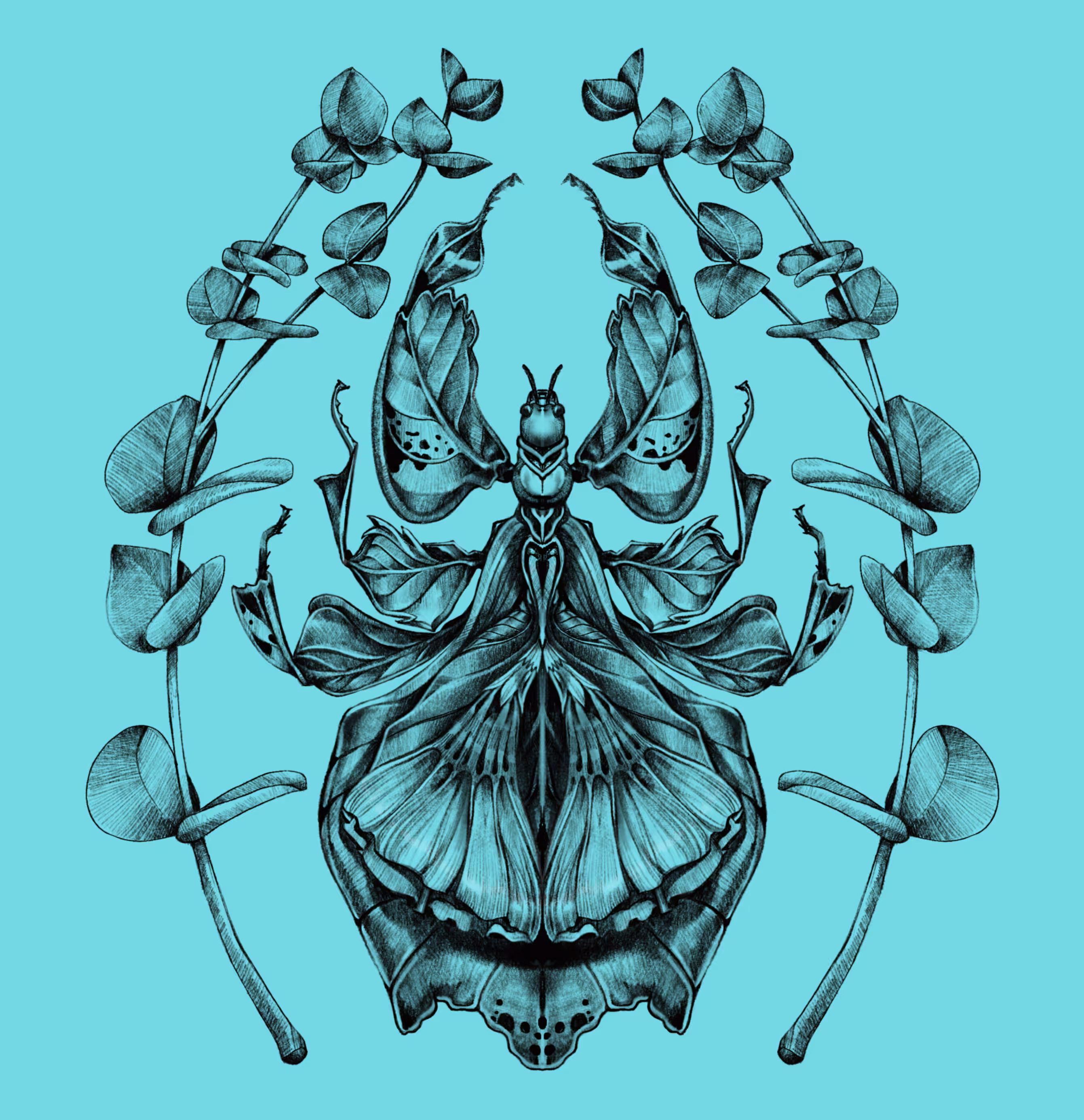 Wandelndes Blatt