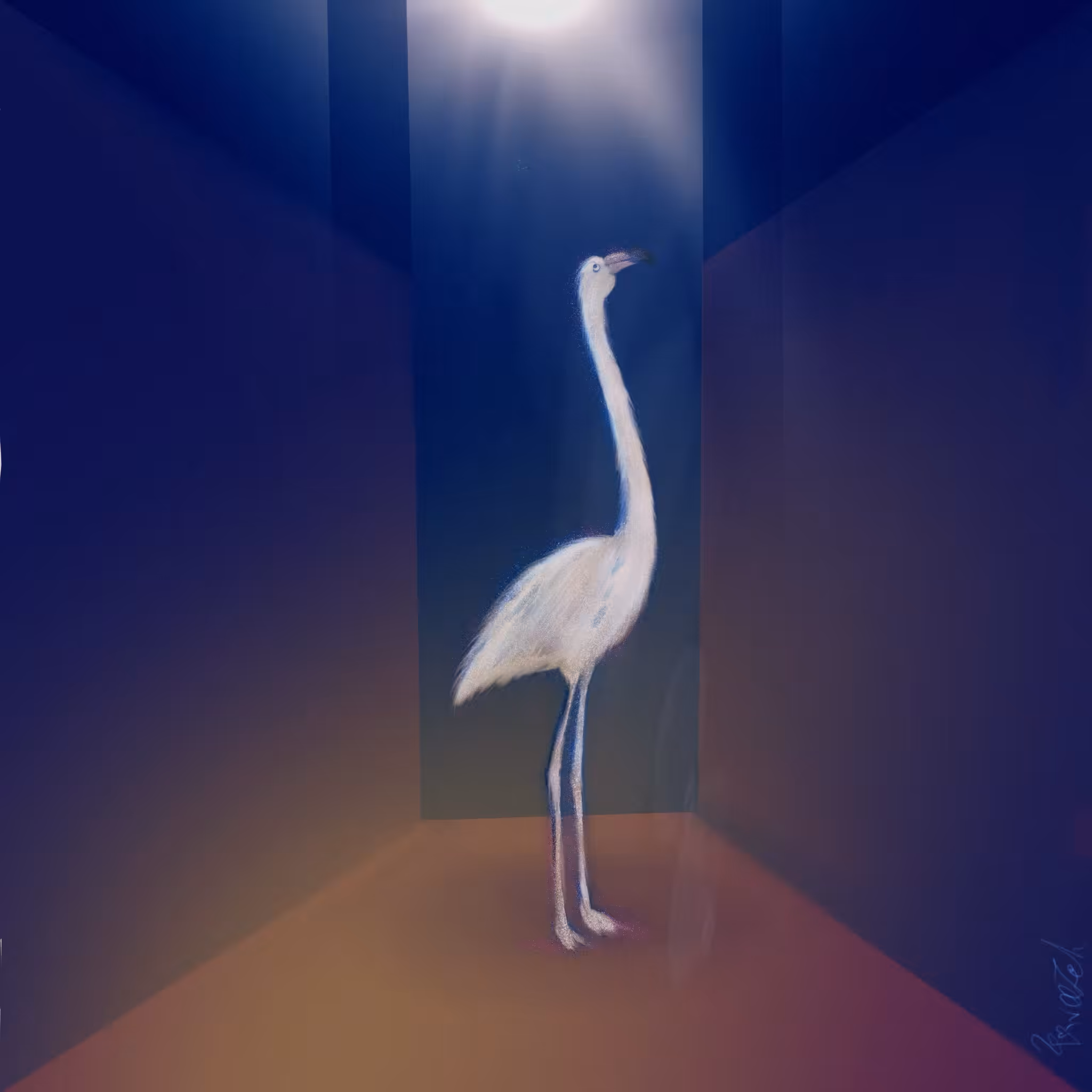 Inside the Cube