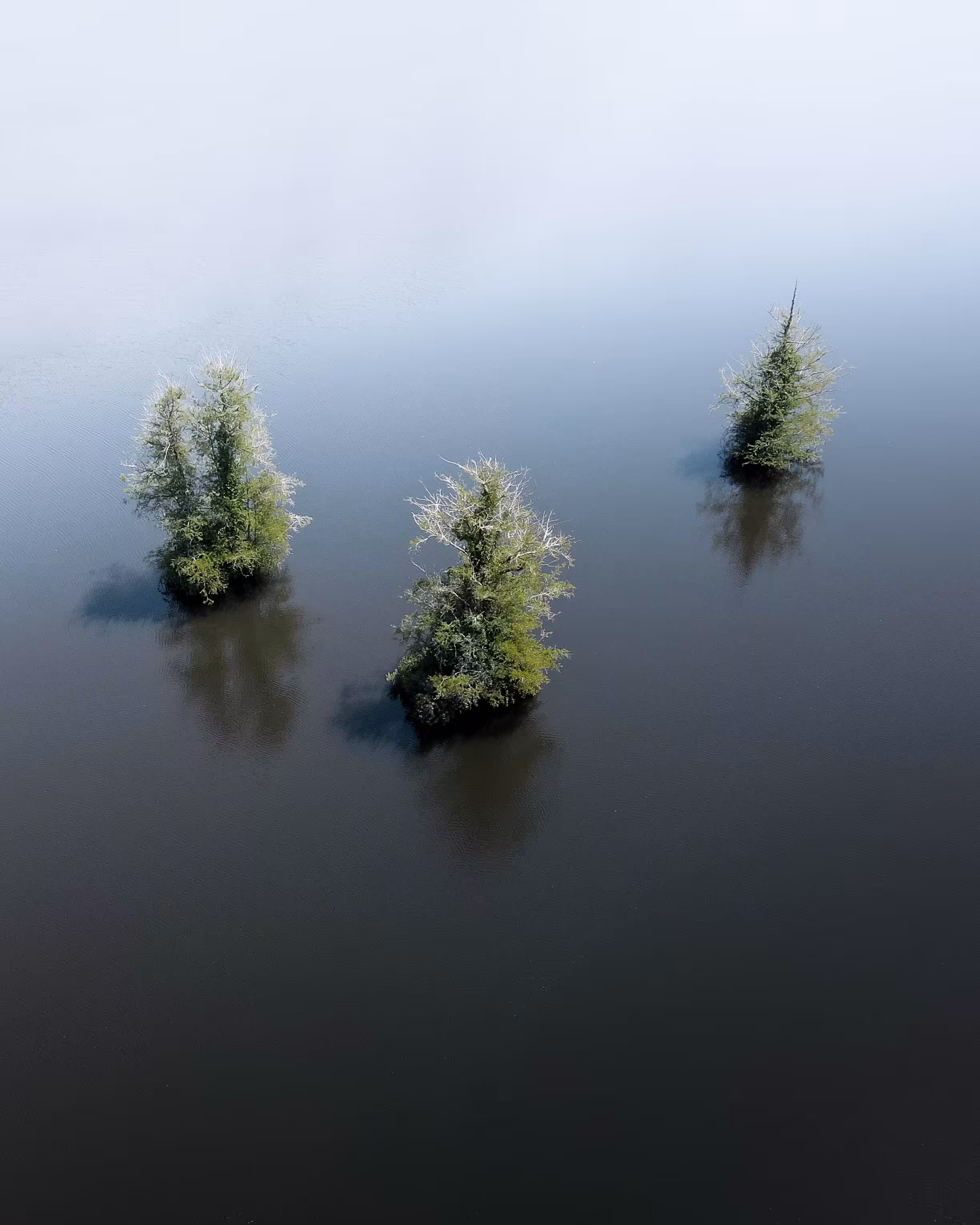 Rodeo posts: Trio of Tranquility