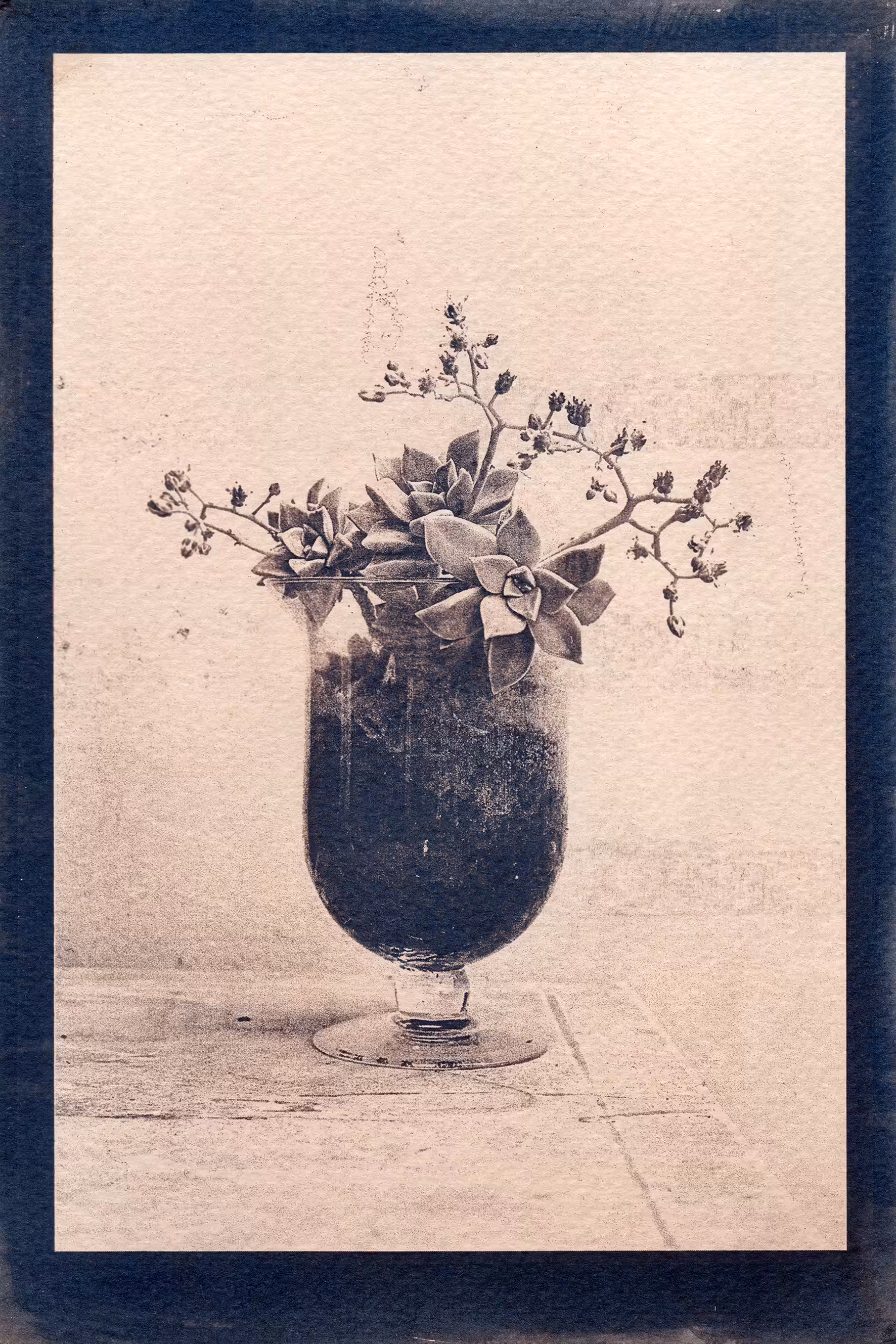Mom’s flowers