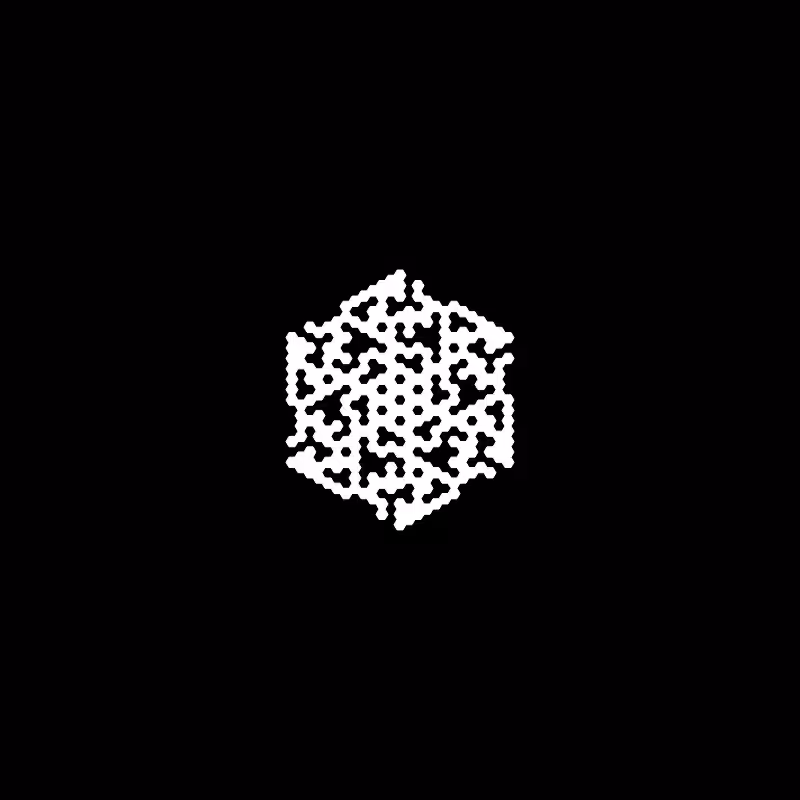 Snowflake #579