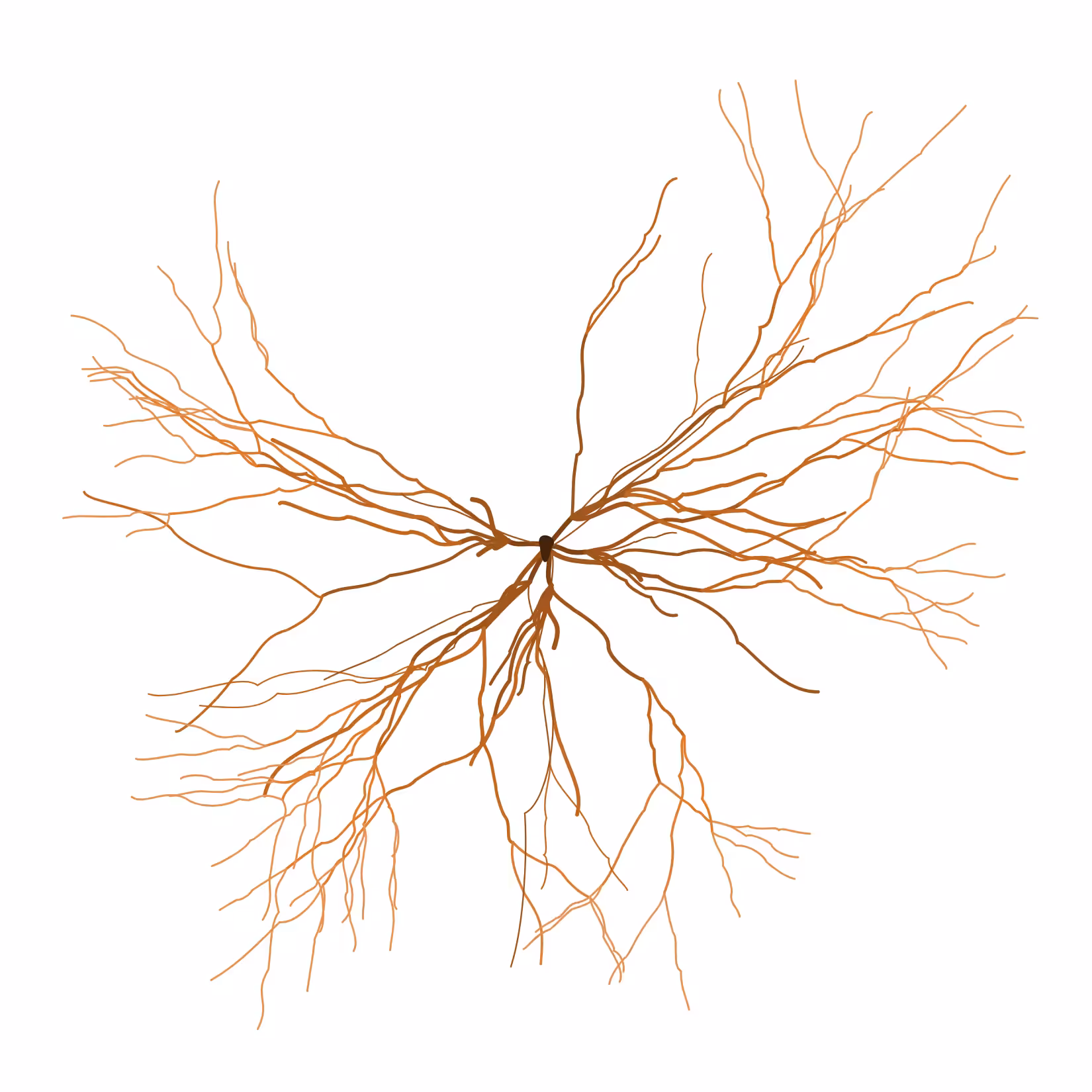 Ghost Forest Seedling #438