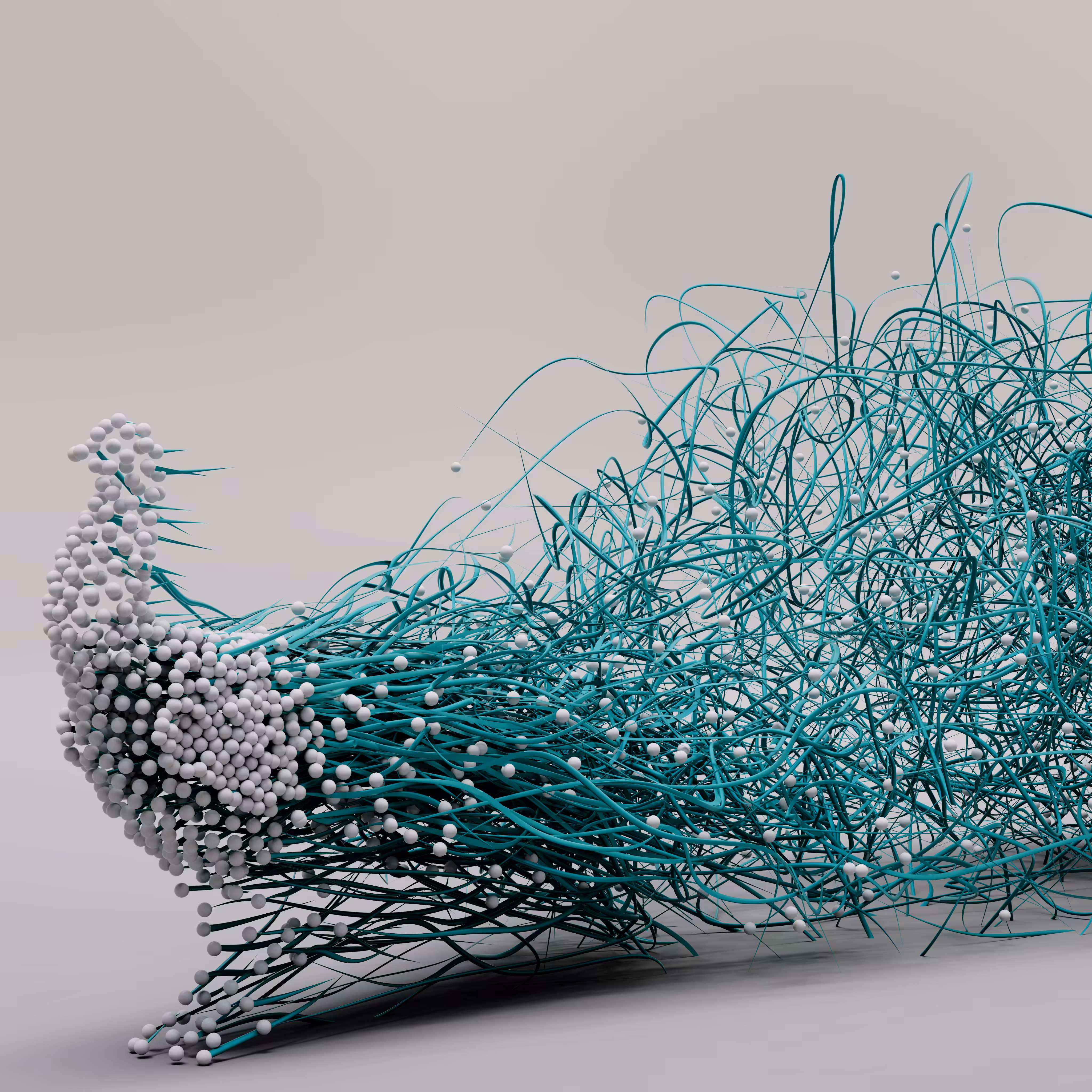 The Peacock