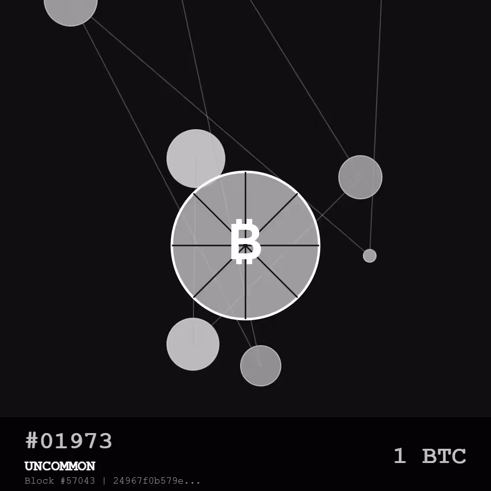🍕Bitcoin Pizza Genesis: 10K — UNCOMMON Edition | The First Real-World Bitcoin Transaction