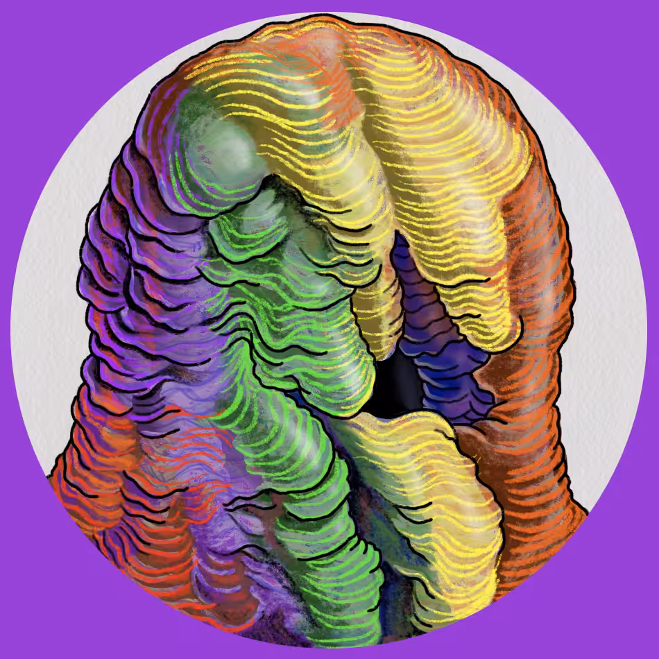 |ZOGZ| Rainbow Krag