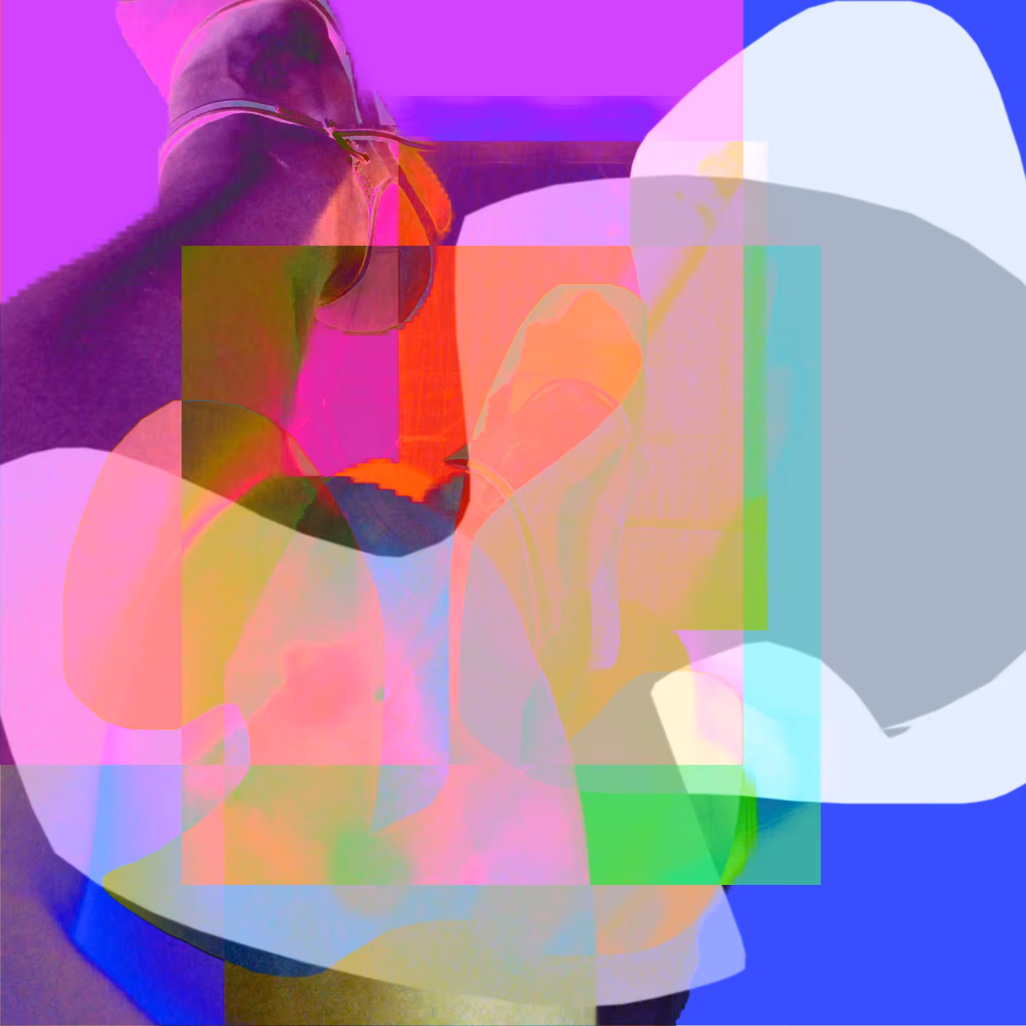 lesg