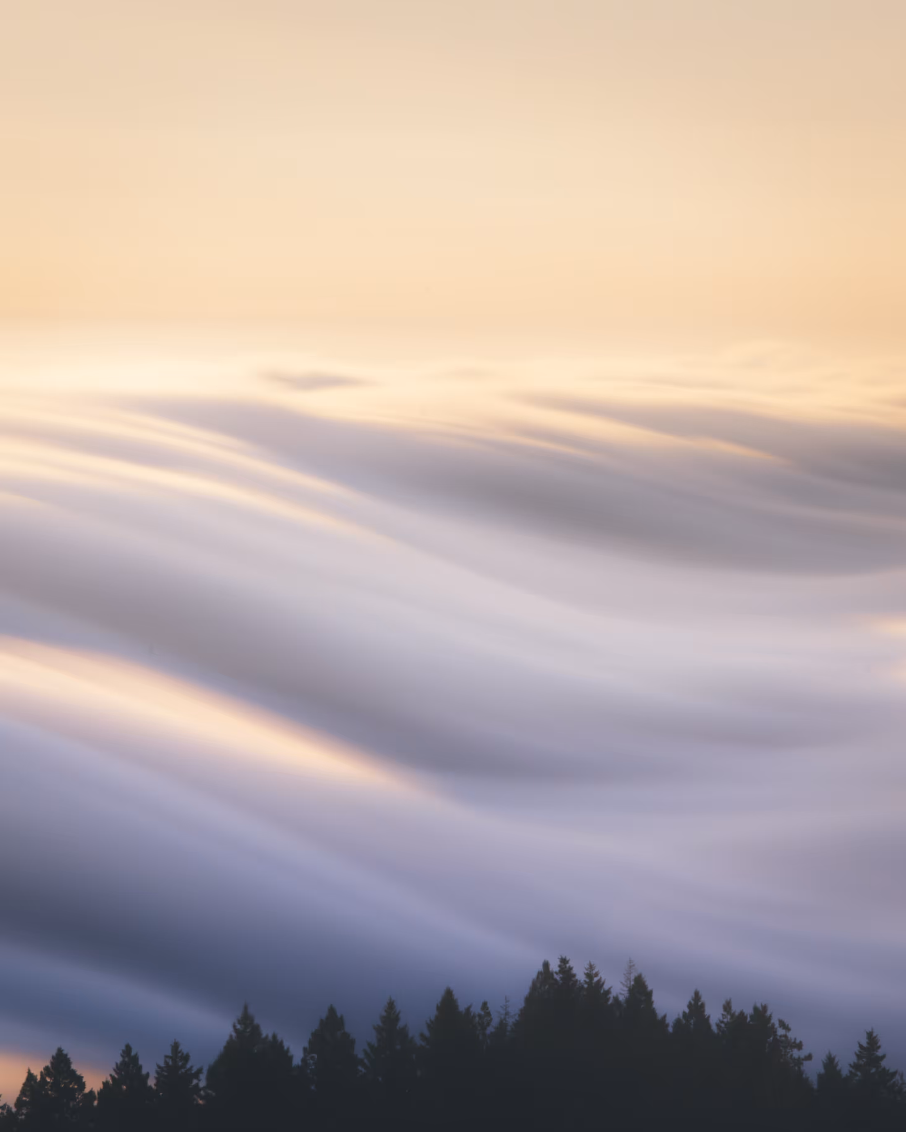 A Symphony of Fog #41